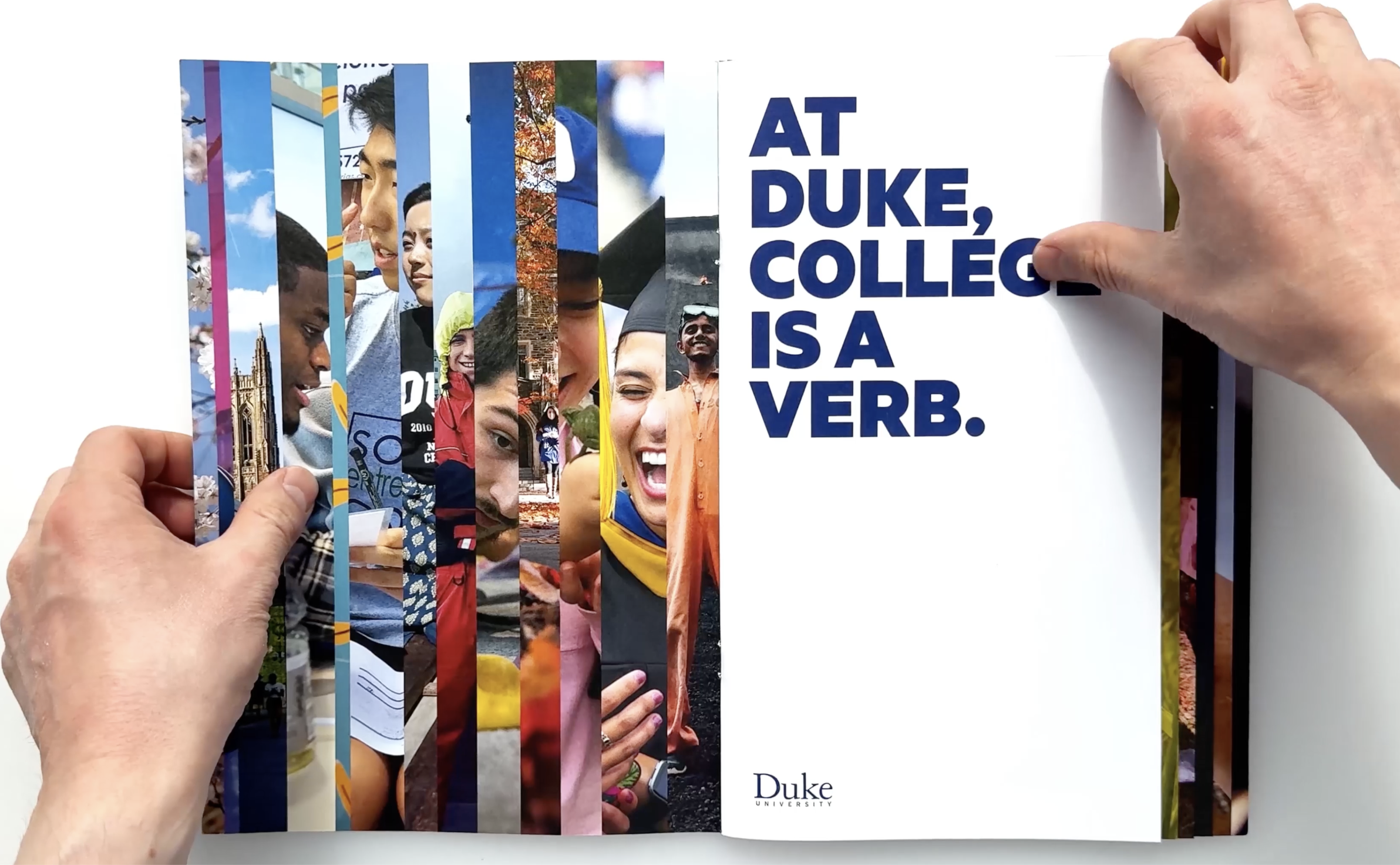 Viewbook - Print + Digital