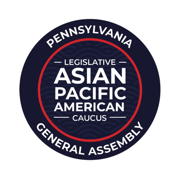 logo aapi.png