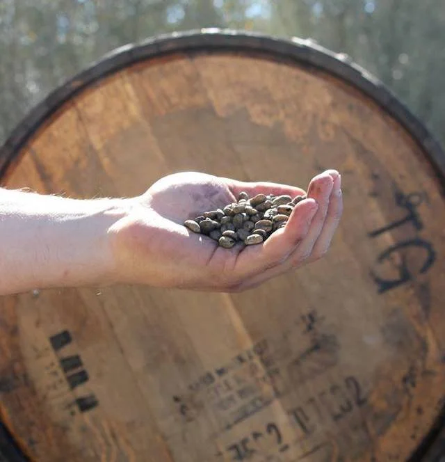 Barrel Series