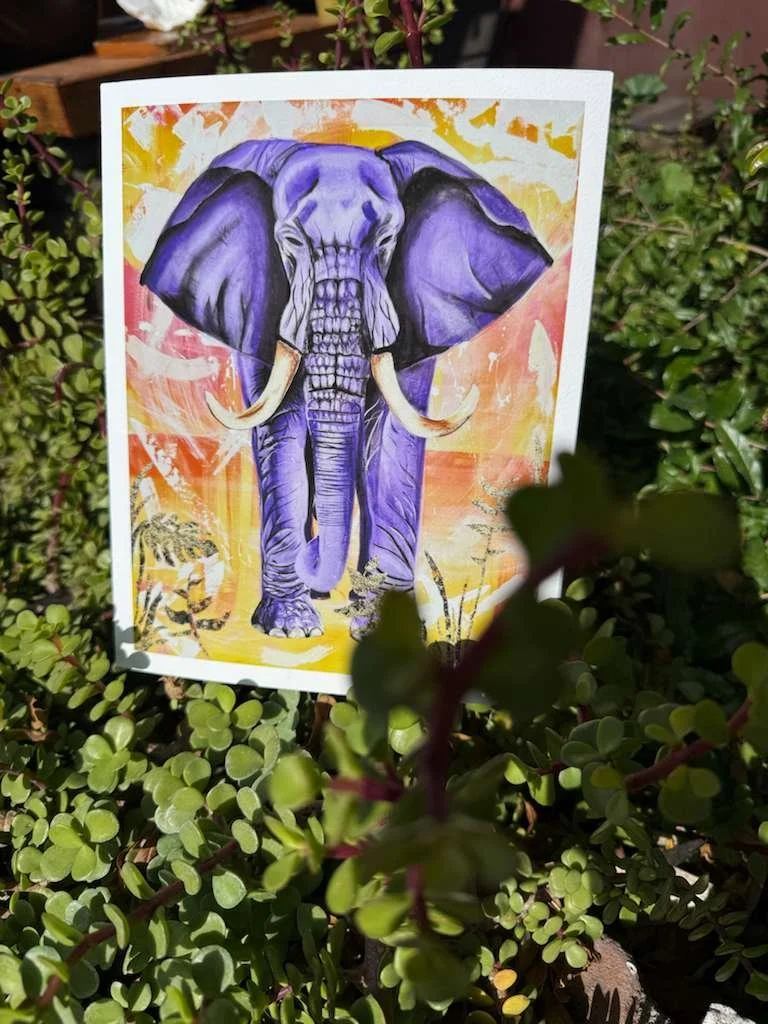 WhatsApp Image 2026-01-14 at 12.23.45 PM.jpeg