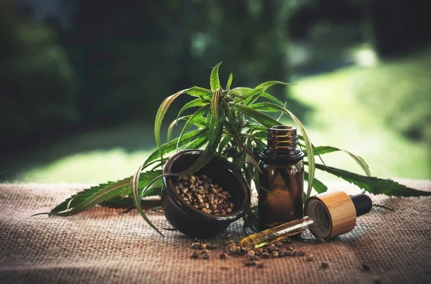 Ayurveda Herbs for Cognitive Support