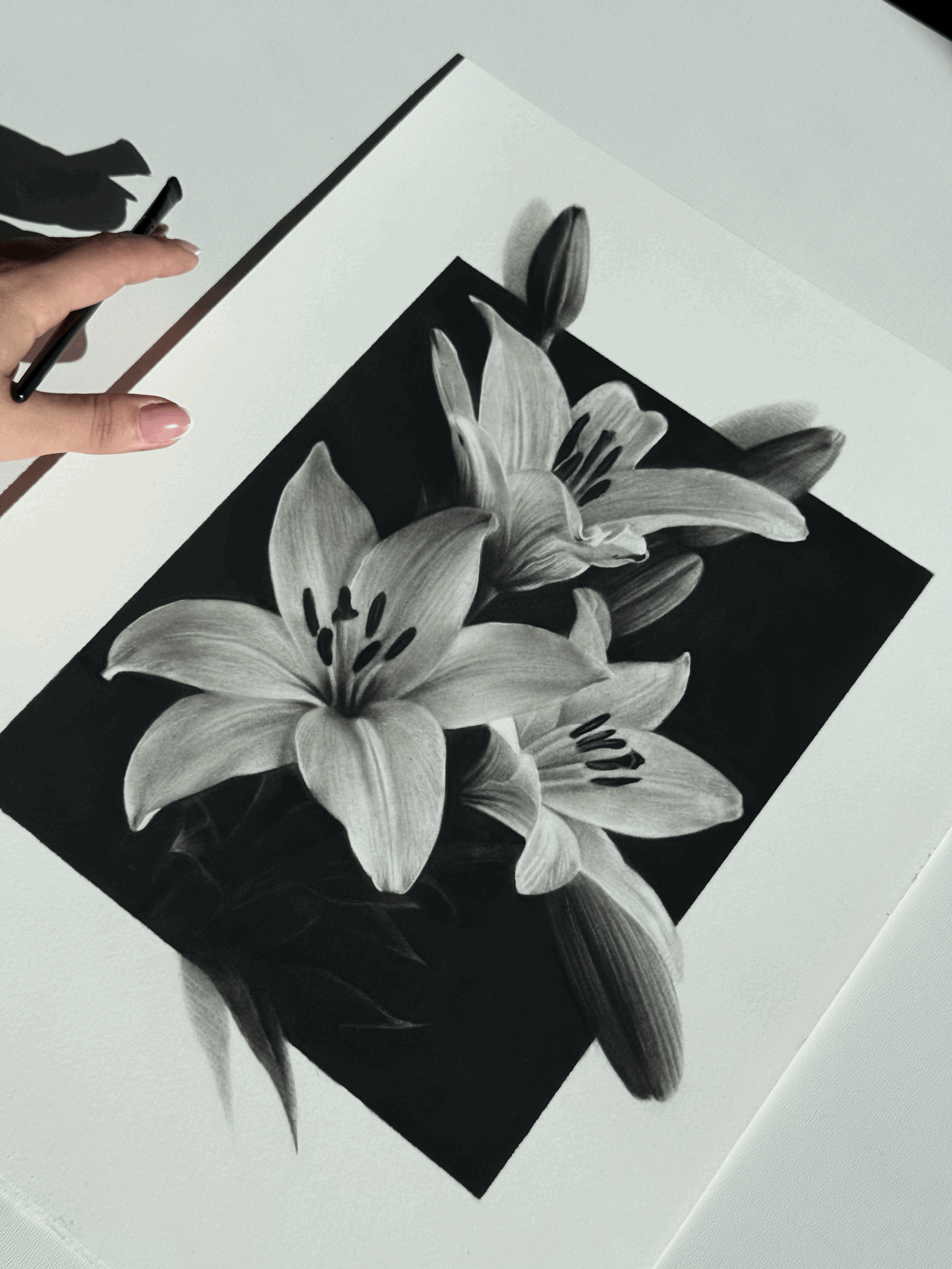 tempImagedlwTs6.gif (Copy)