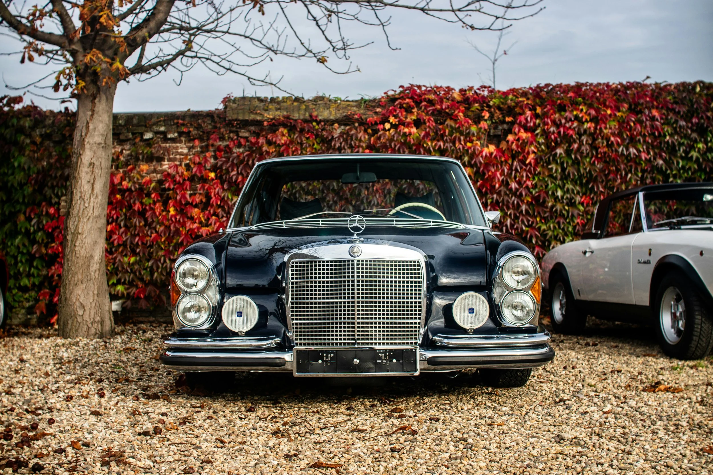 An Offer We Can’t Refuse