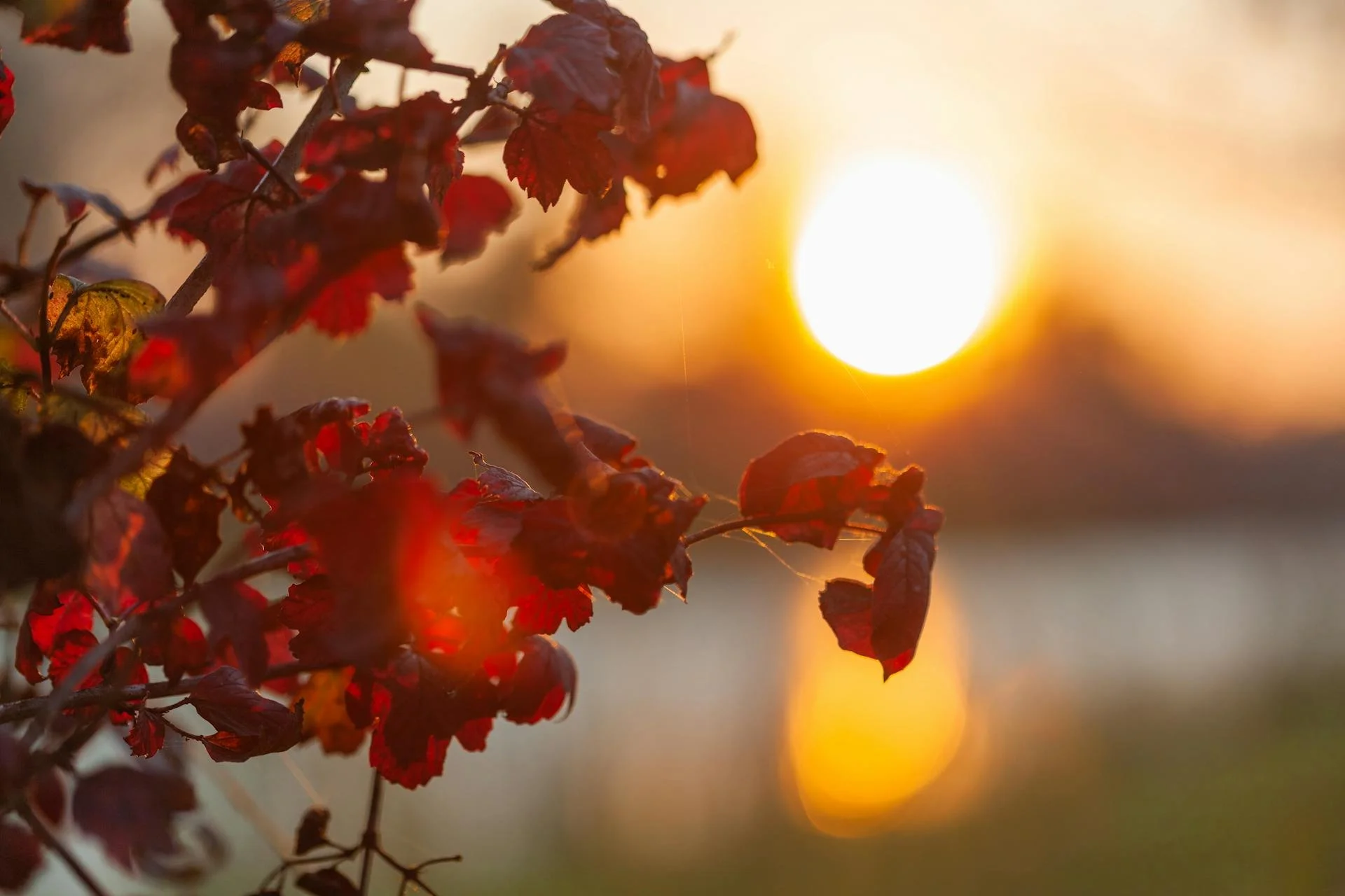 Sunsets of Autumn
