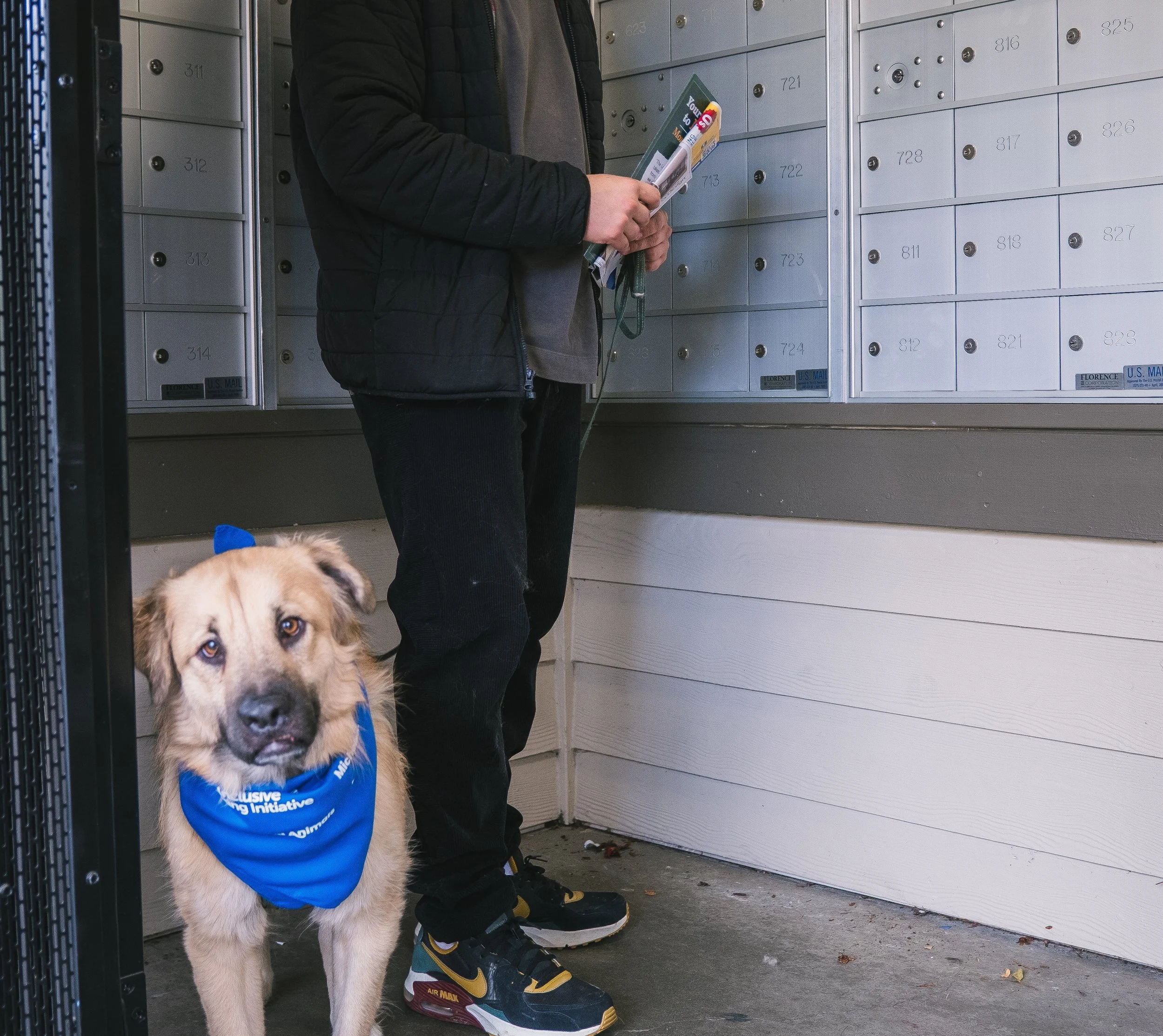 Bill to End Hidden Pet Restrictions in Rental Applications Advances in Legislature