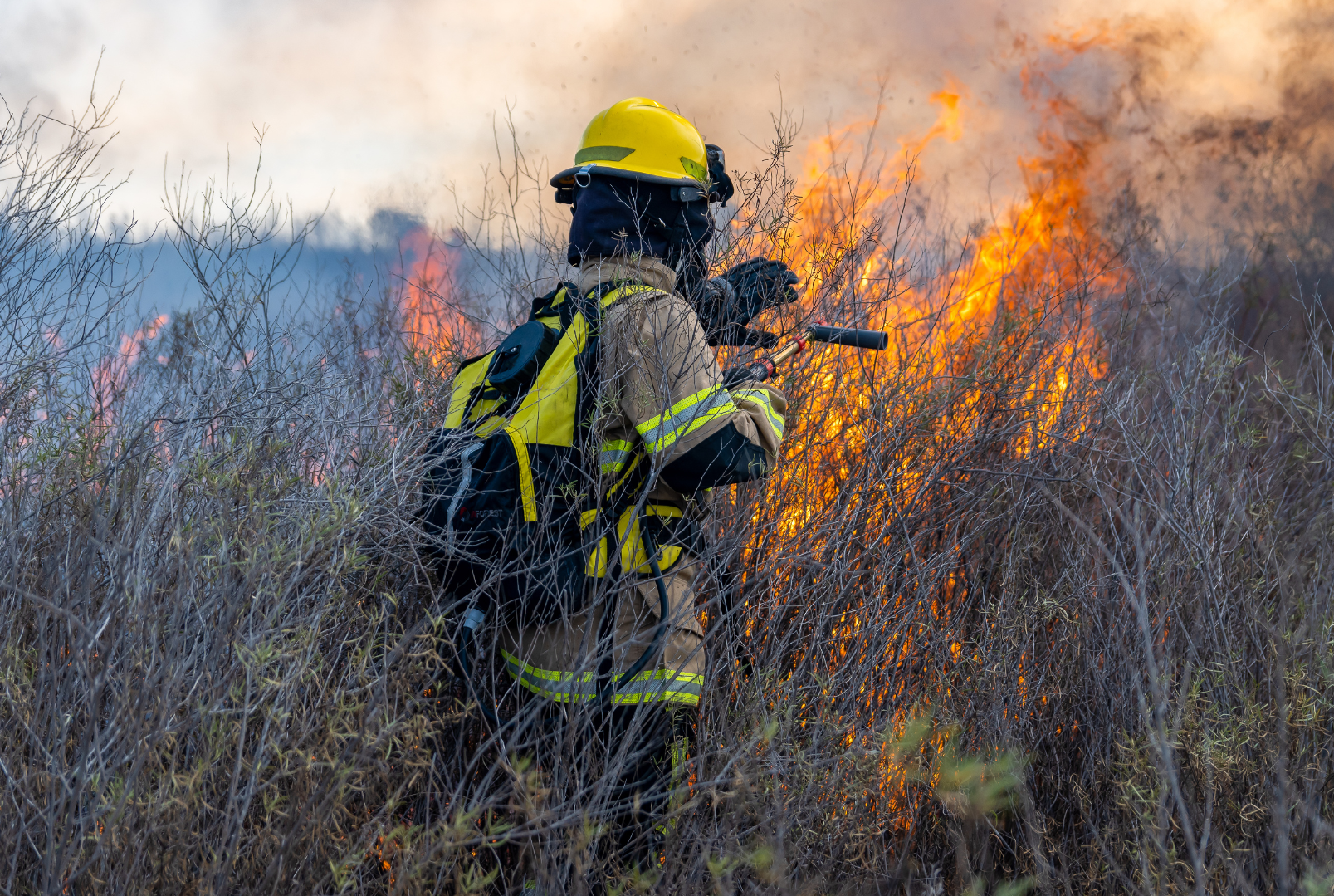 Incarcerated Firefighter Career Pathway Bill Clears Critical Senate Appropriations Hurdle