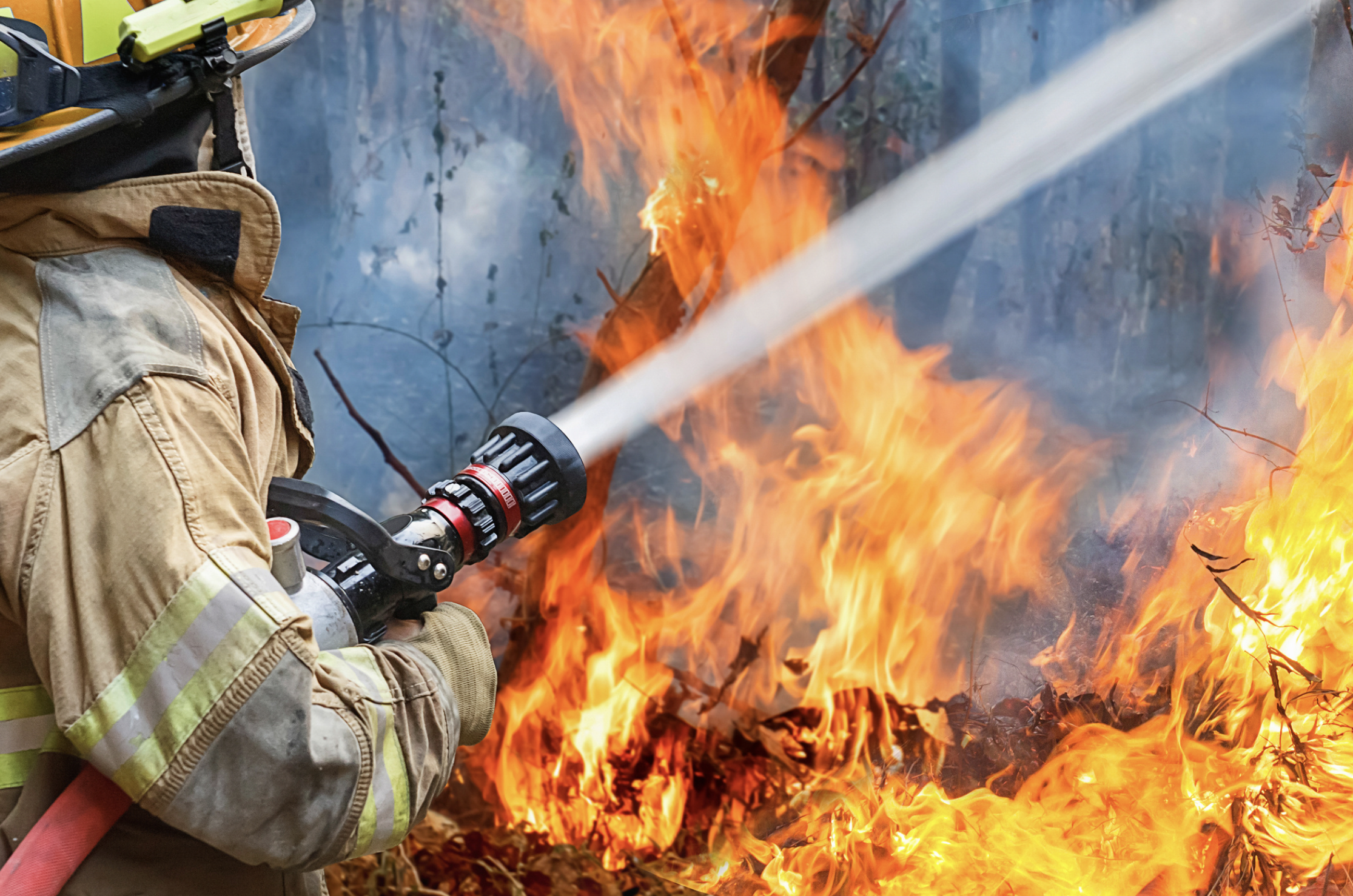 After Two-Year Fight, Gov. Newsom Signs Landmark Bill for Incarcerated Firefighter Career Pathways