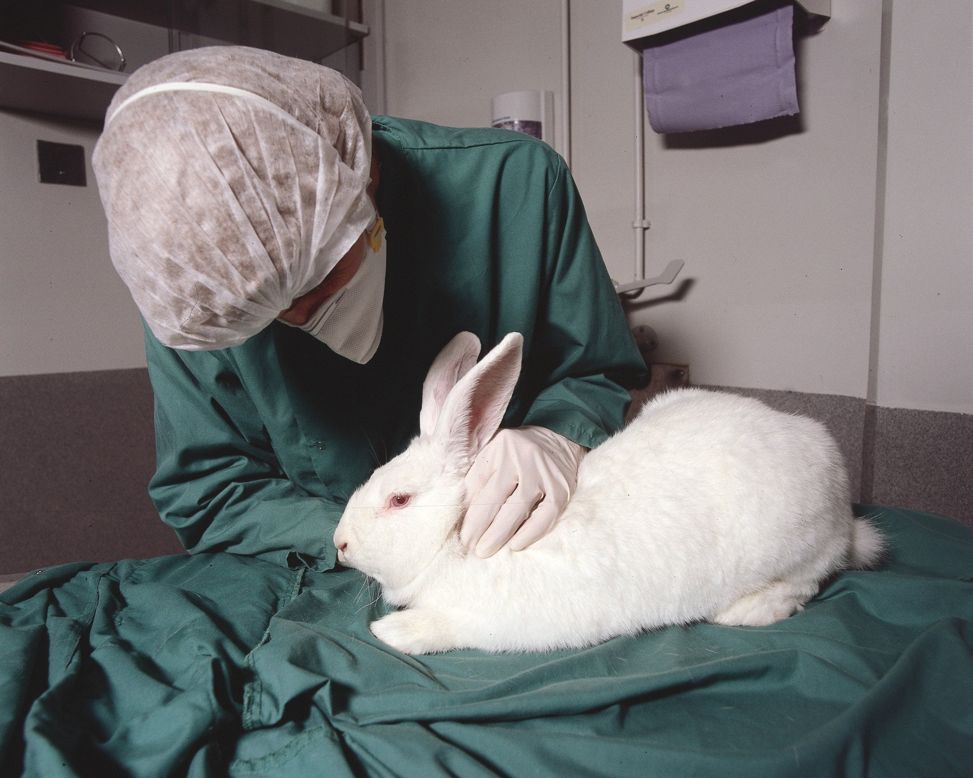 Welcome Alternatives to Animal Testing — Michelson Center for Public Policy