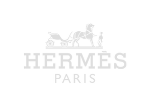 Hermes+White+Logo.png