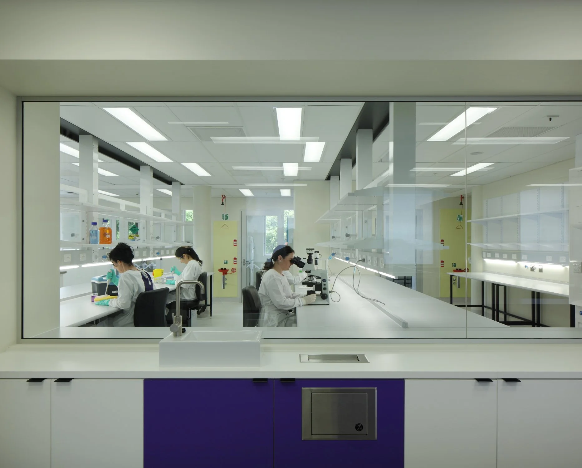 Galipolli Lab_005.JPG