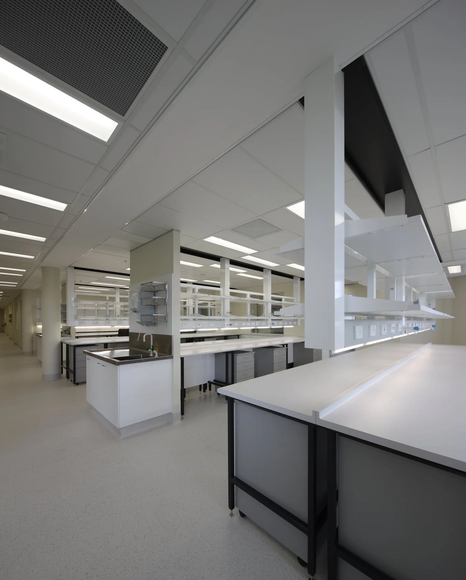 Galipolli Lab_019.JPG