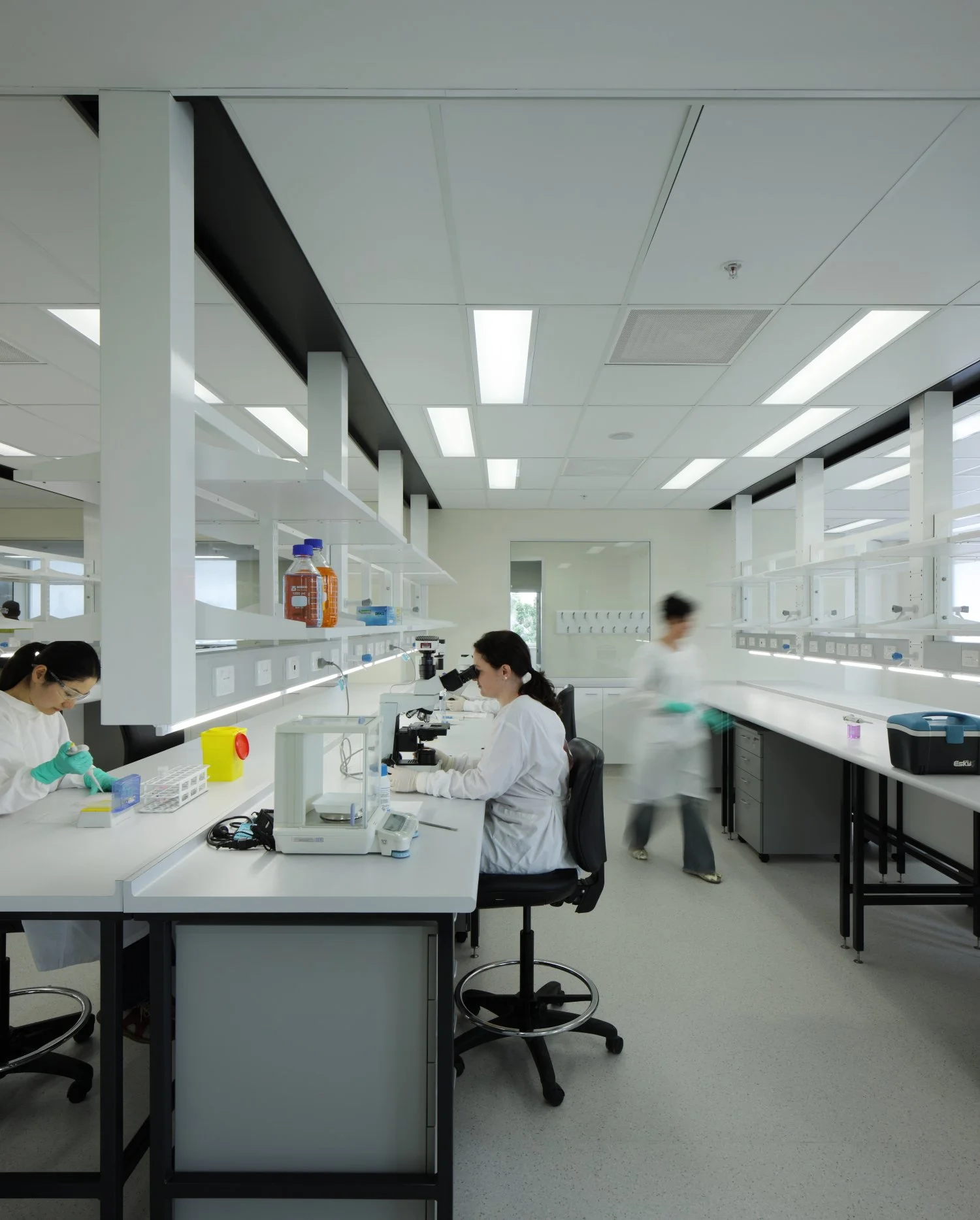 Galipolli Lab_003.JPG