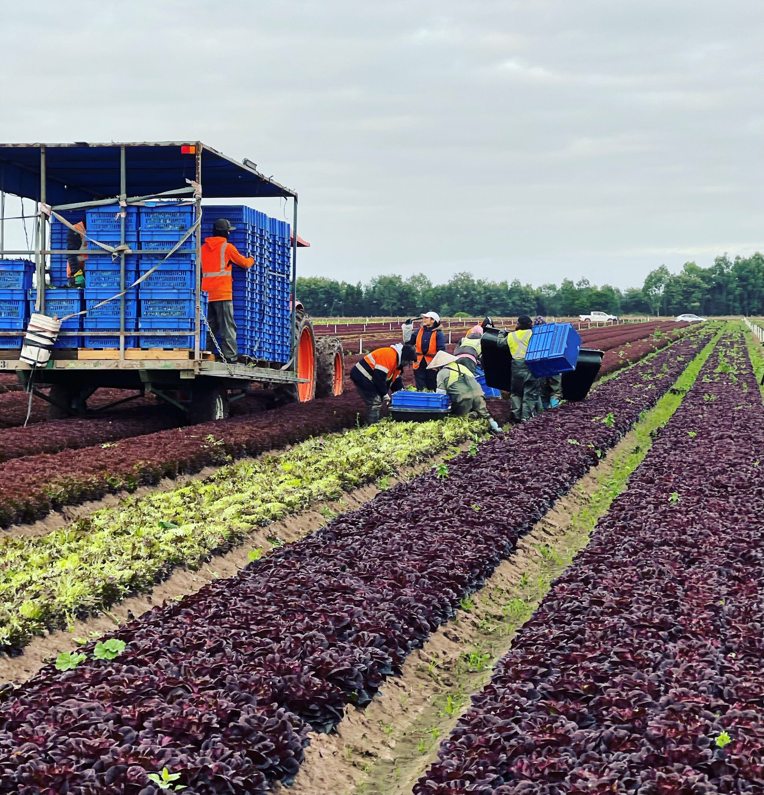 Workforce Support Forum for Horticulture