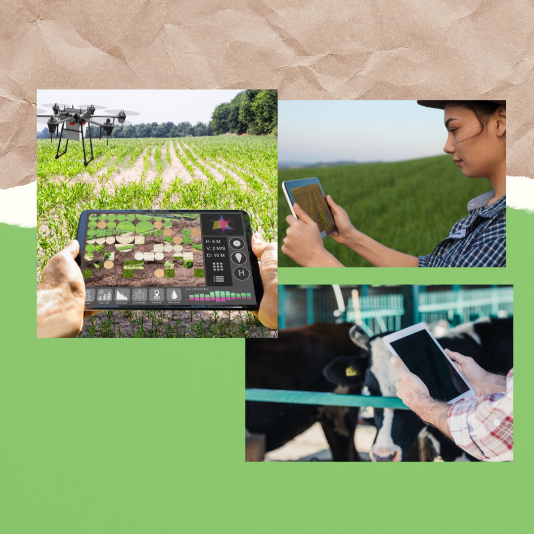 Backing Health of Farm Businesses