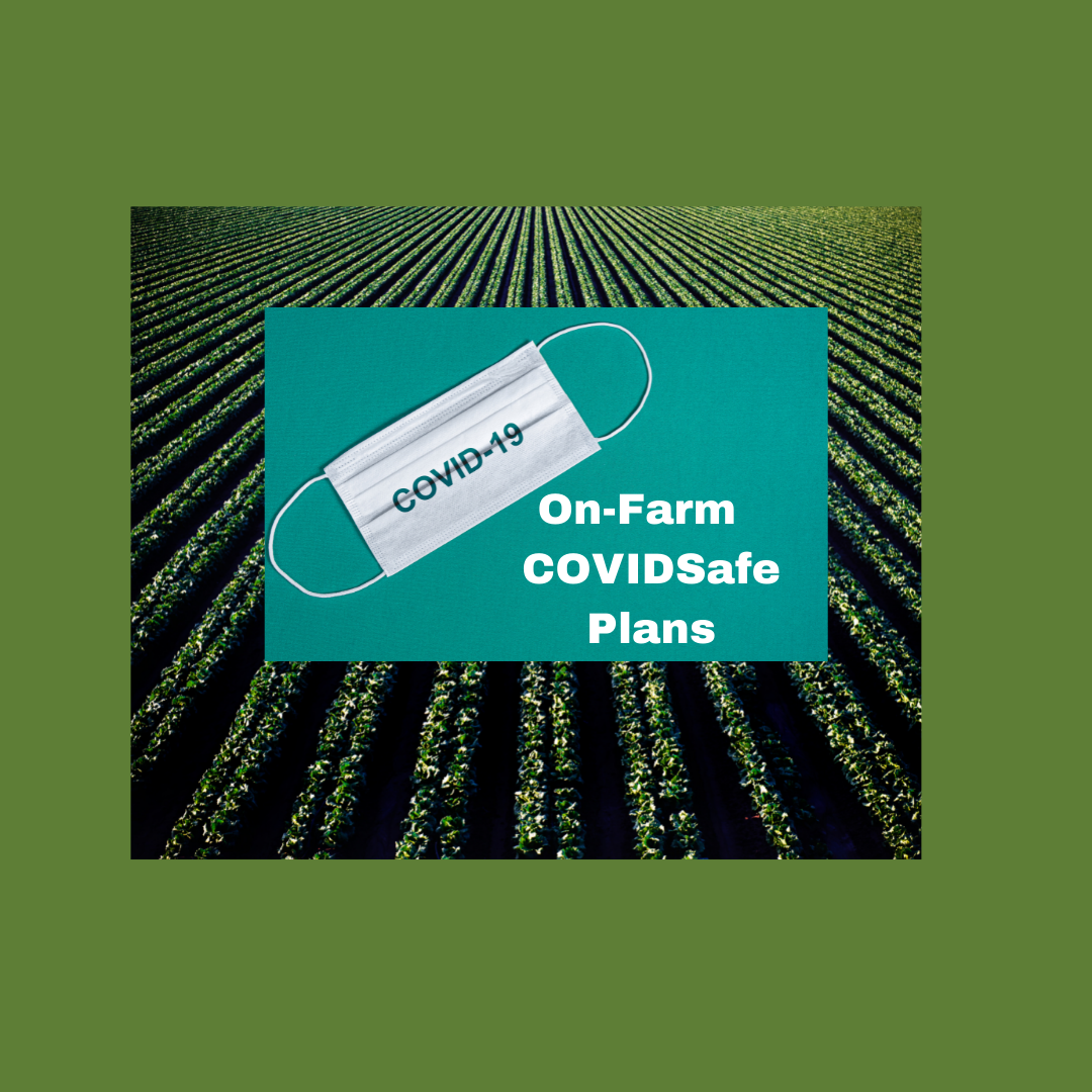 On-Farm COVID Safe Plans