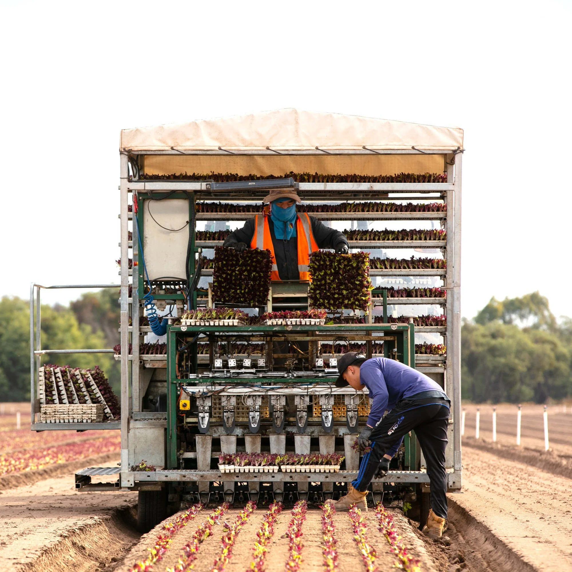 Regional Migration Australia opens new office in Bairnsdale