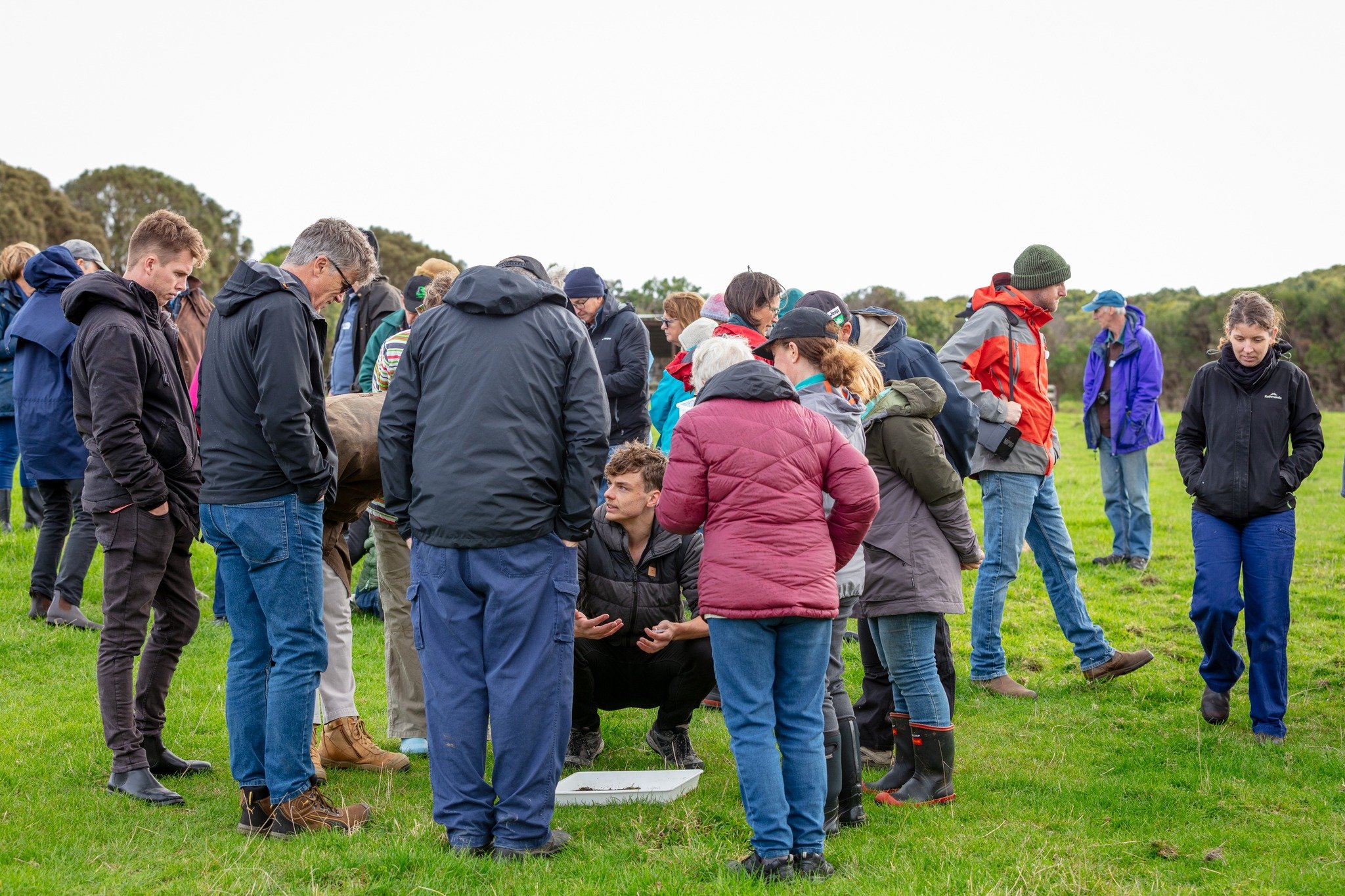 @southgippslandlandcare network (SGLN) recently hosted a field day to share information and learning about the highly successful &lsquo;Green Dams&rsquo; project in Tarwin Lower. They've also published a video which provides an overview of the method