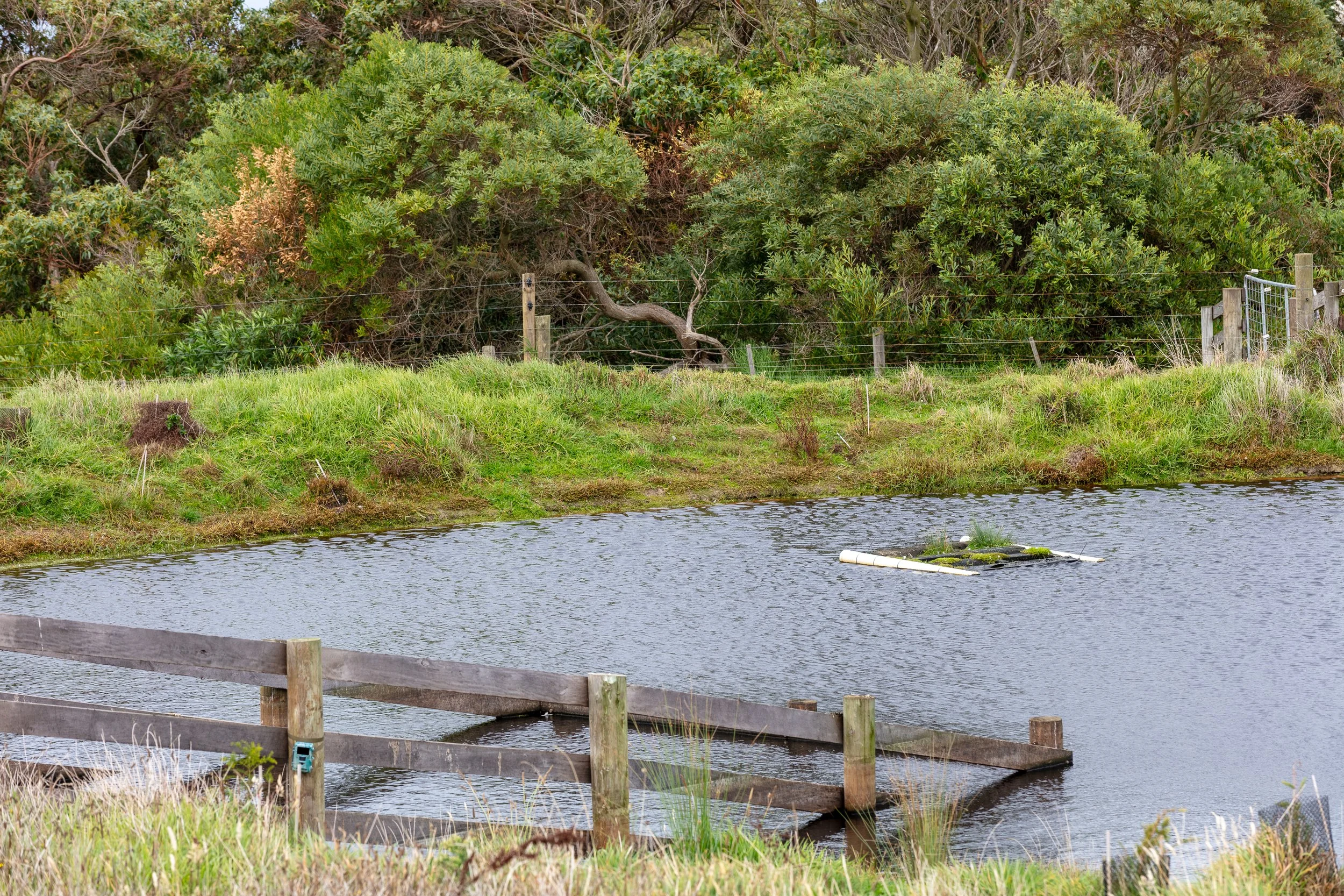 Green-Dams-Field-Day_180424_Image-01.jpg