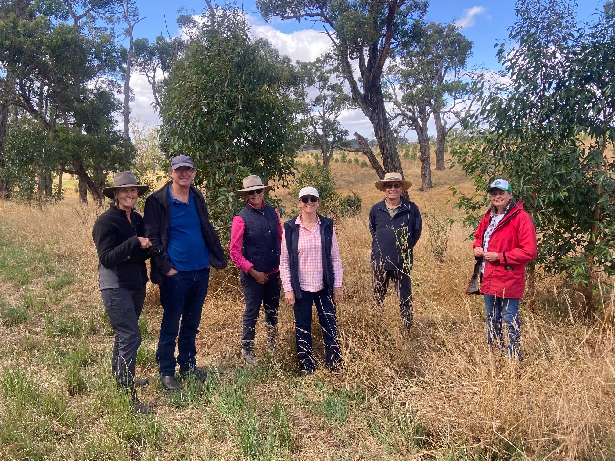 Gippsland Producers Turn to Multi‑Species Pastures to Strengthen Climate Resilience