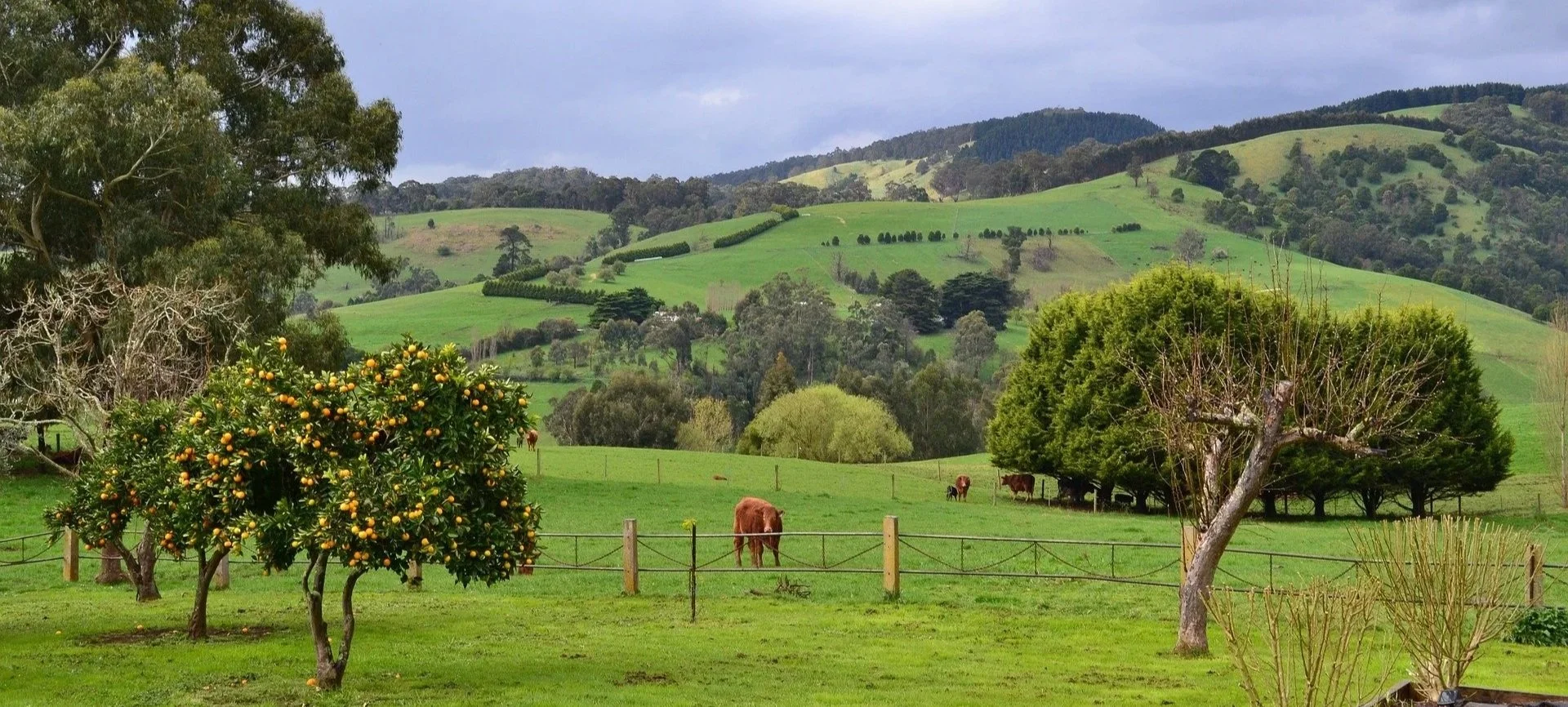 gippsland-views.jpg