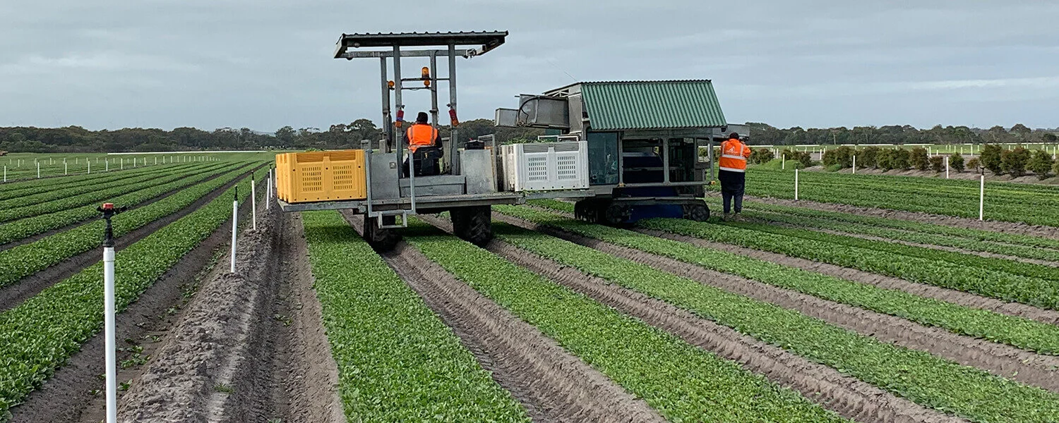 Food and Fibre Gippsland