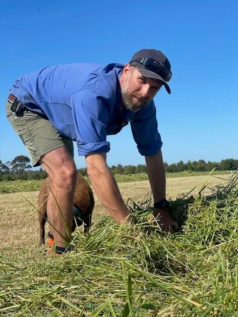 Fodder Project Drought Programs — Food and Fibre Gippsland