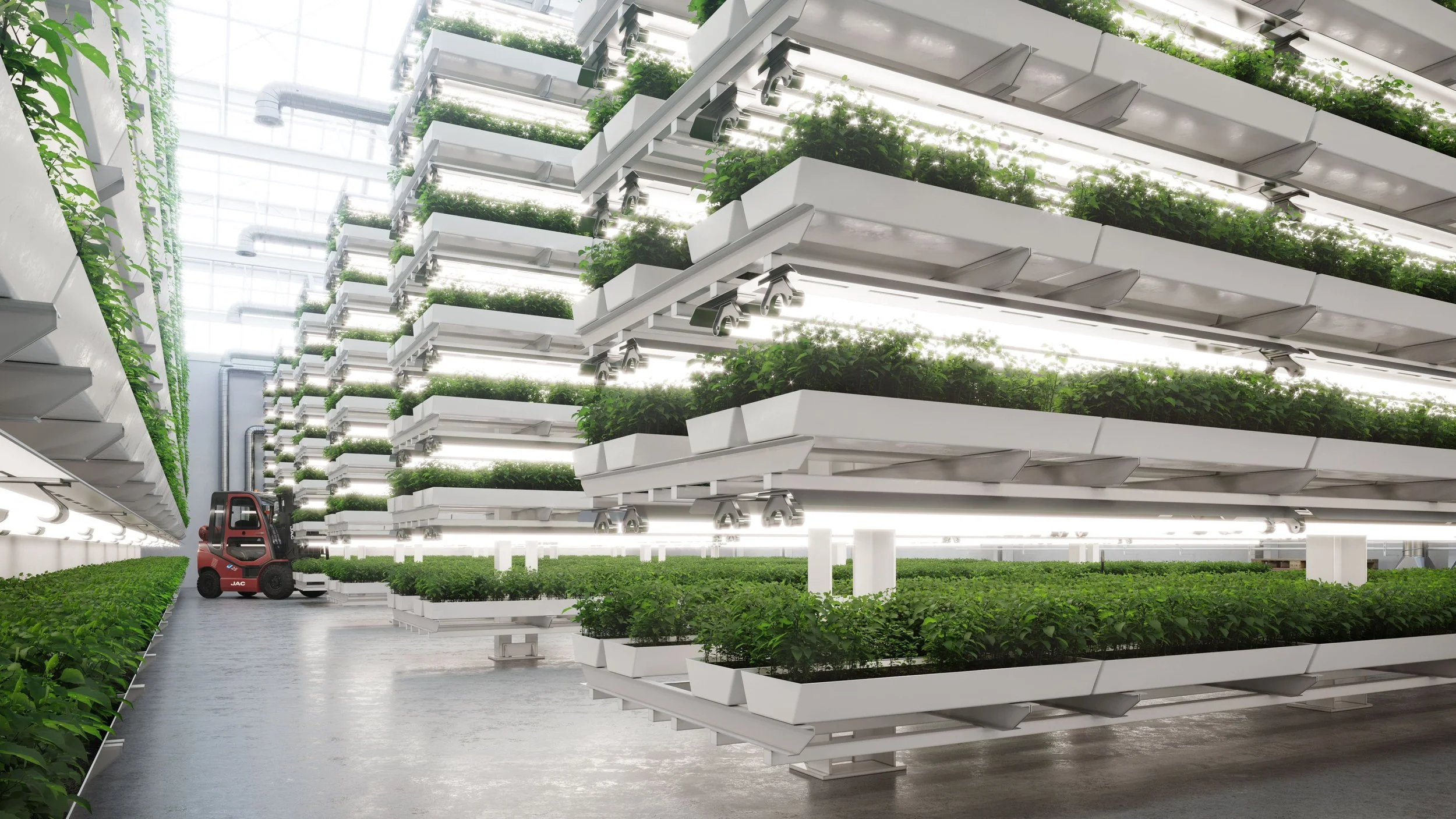 Focus on vertical farming in Gippsland