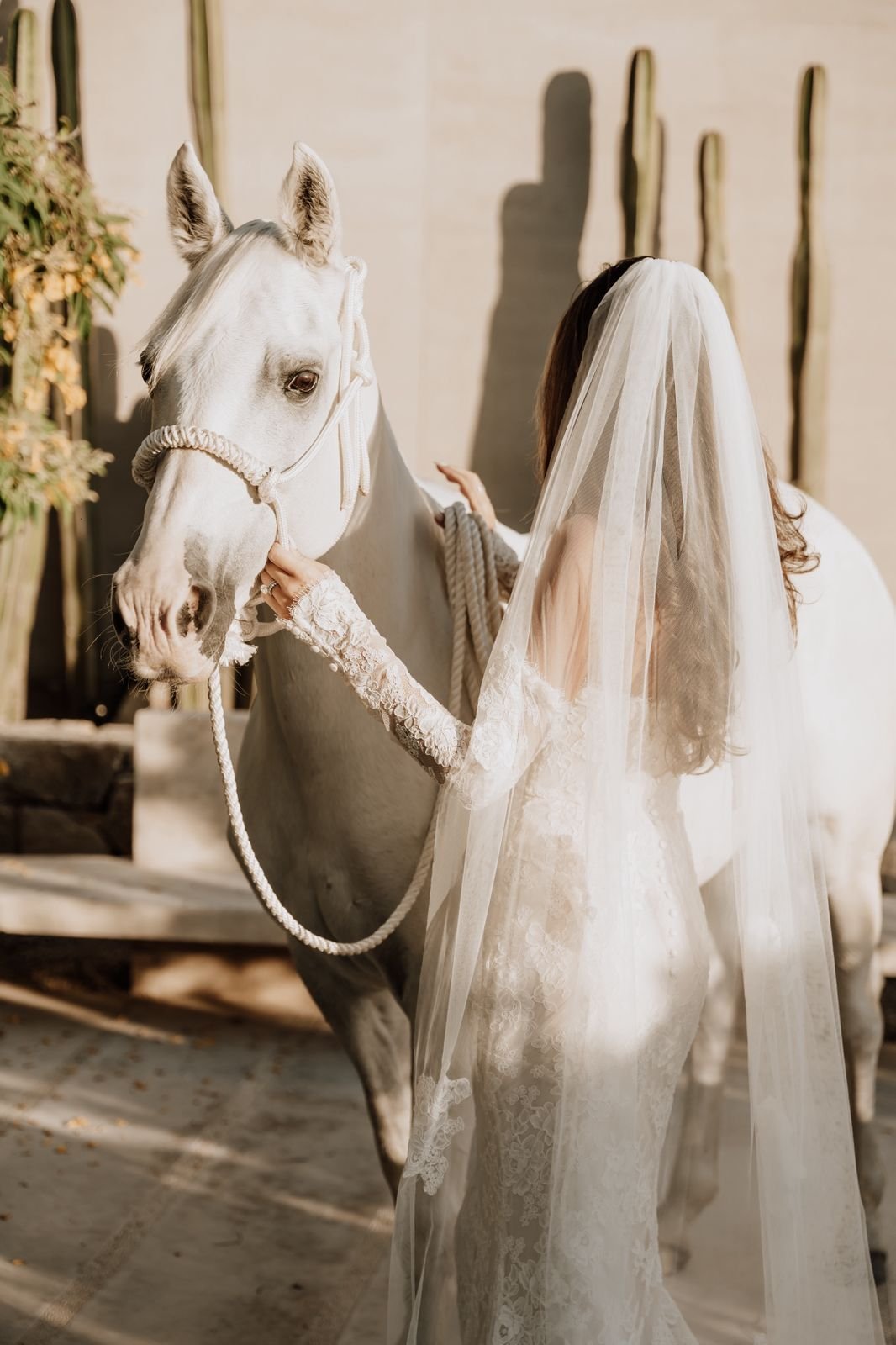 WhatsApp Image 2025-12-10 at 10.42.35.jpeg