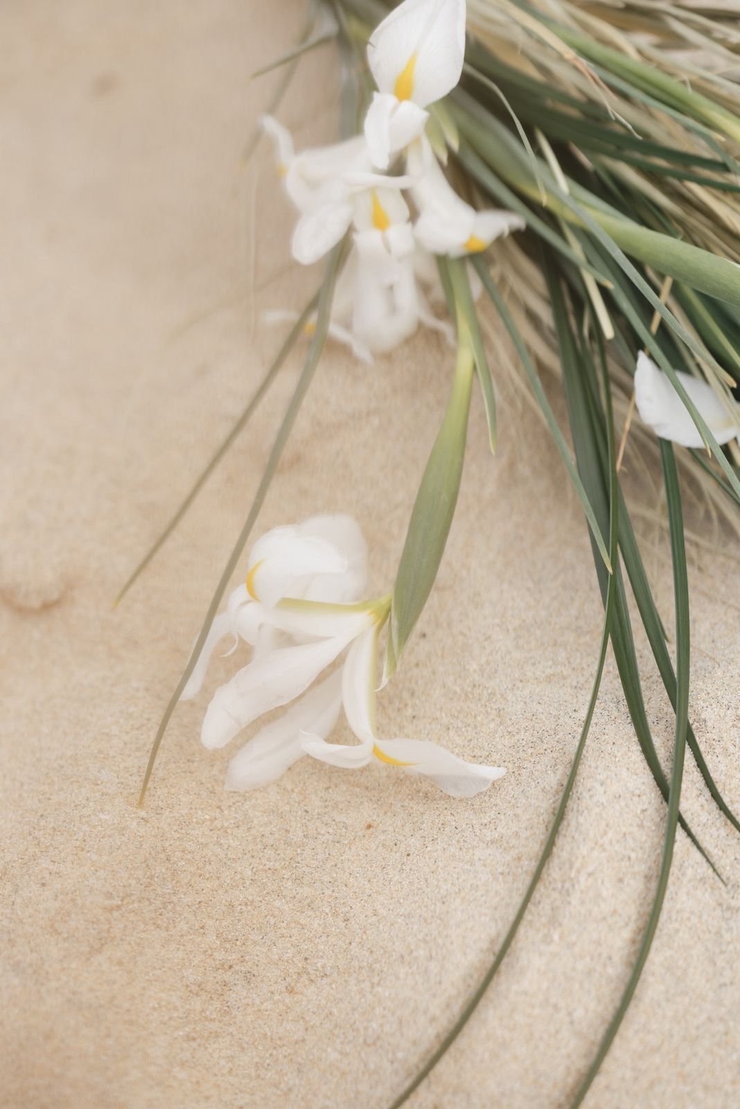 WhatsApp Image 2025-12-10 at 10.42.38 (2).jpeg