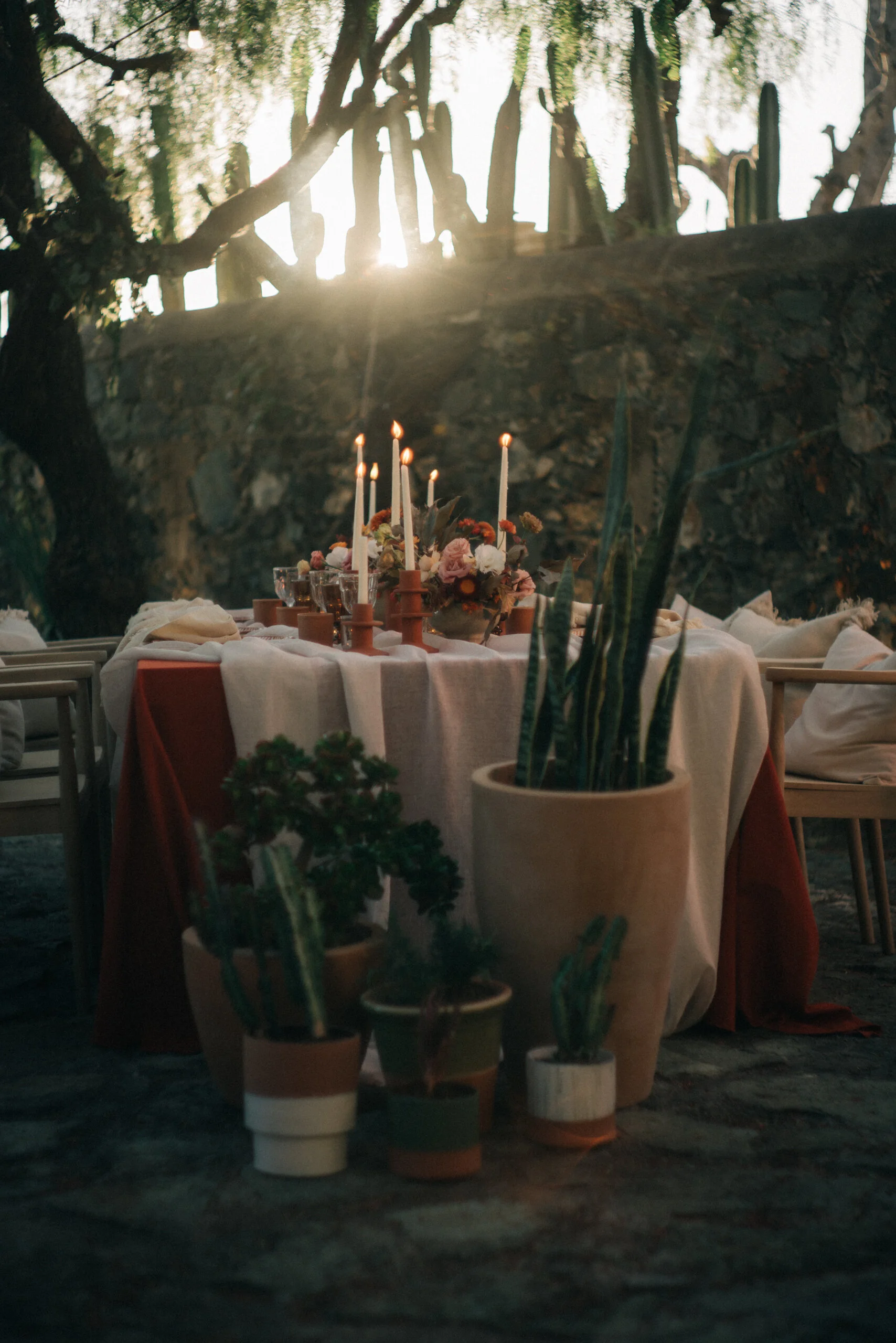 Camino de Vinos-163.jpg