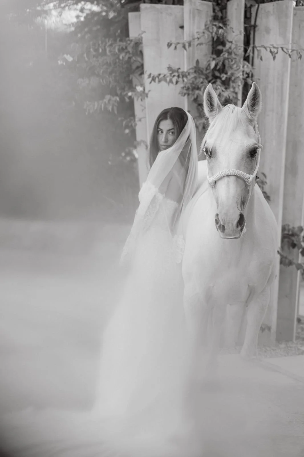 WhatsApp Image 2025-12-10 at 10.42.37 (1).jpeg