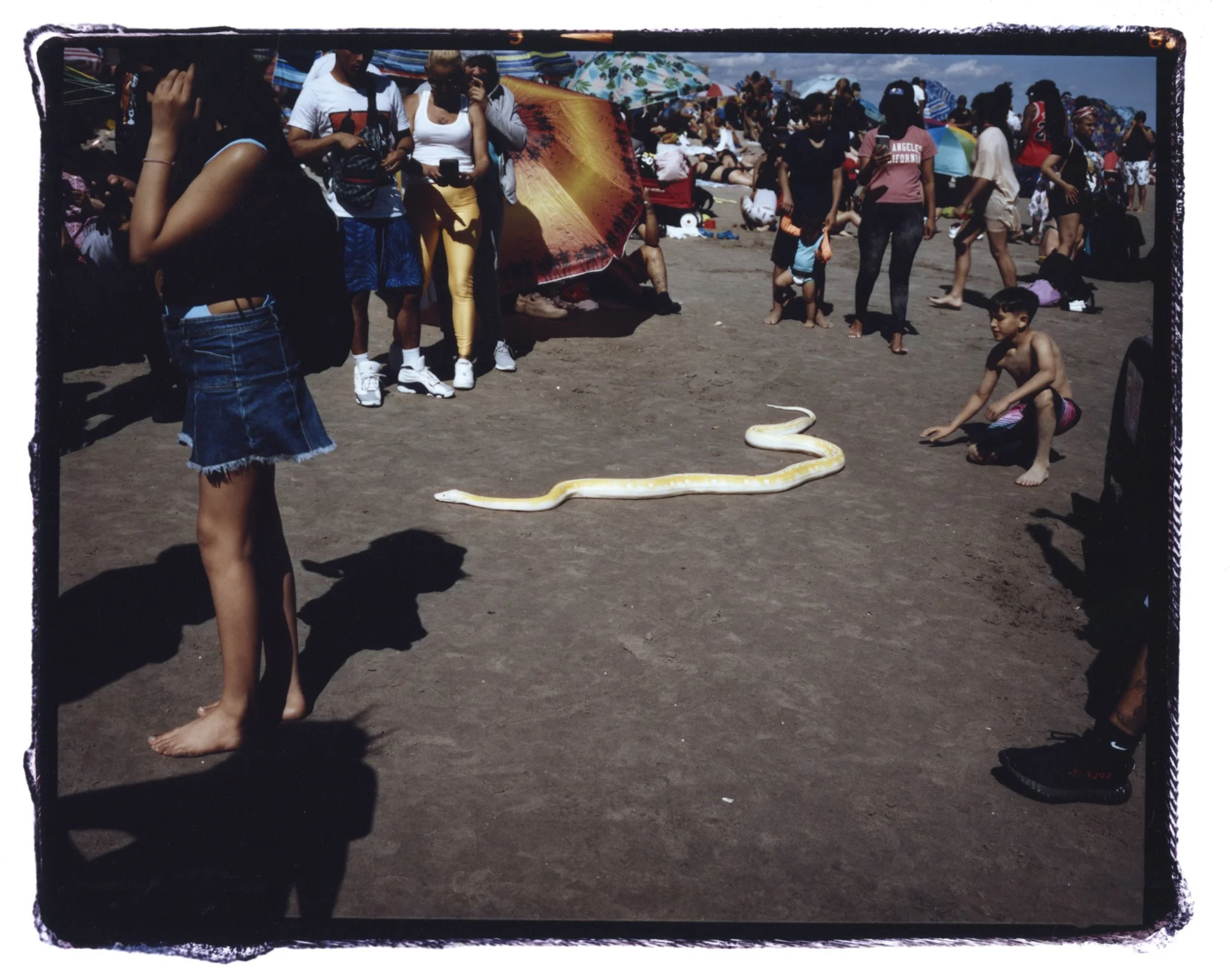 snake on beach copy.jpg