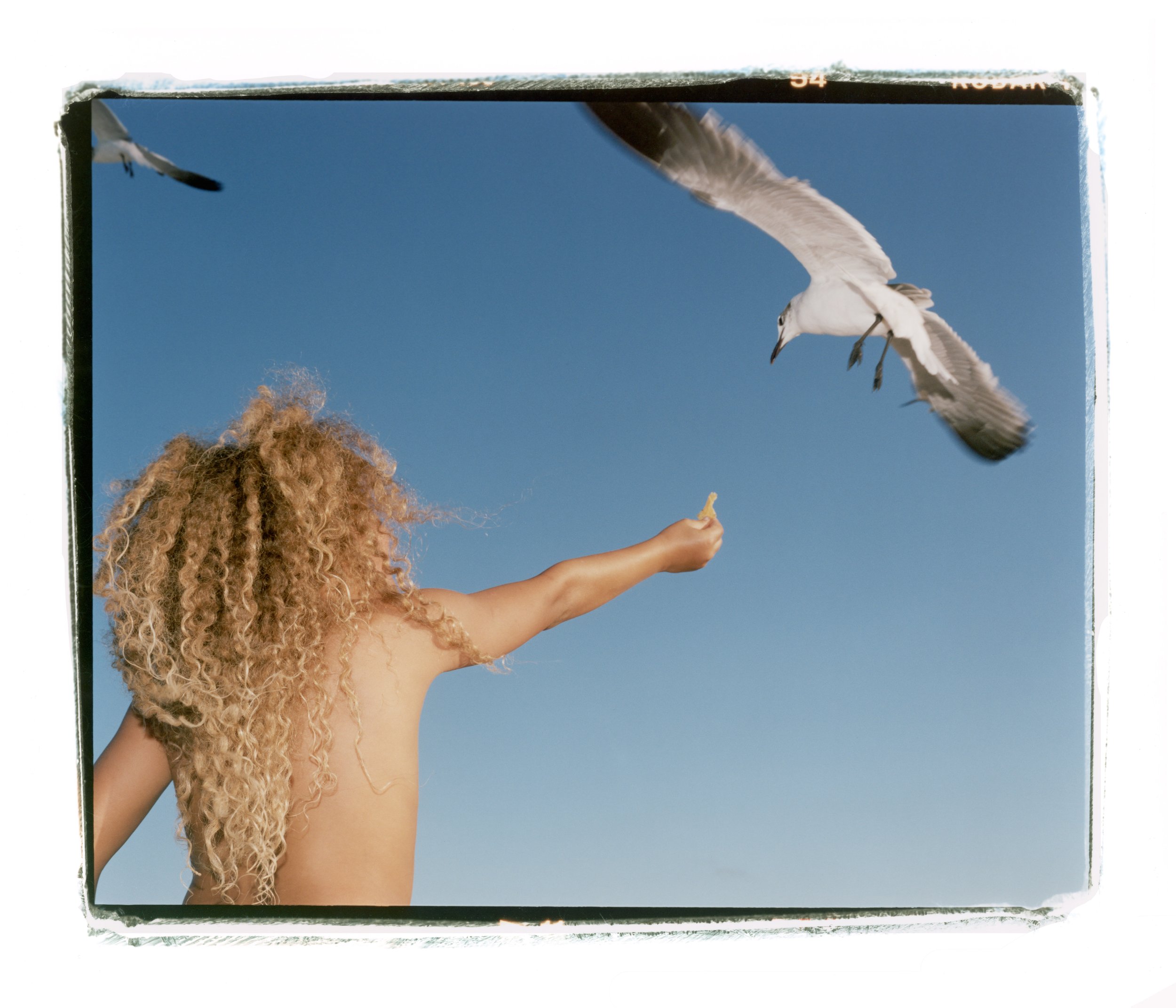 Boy and Seagull 1.jpg