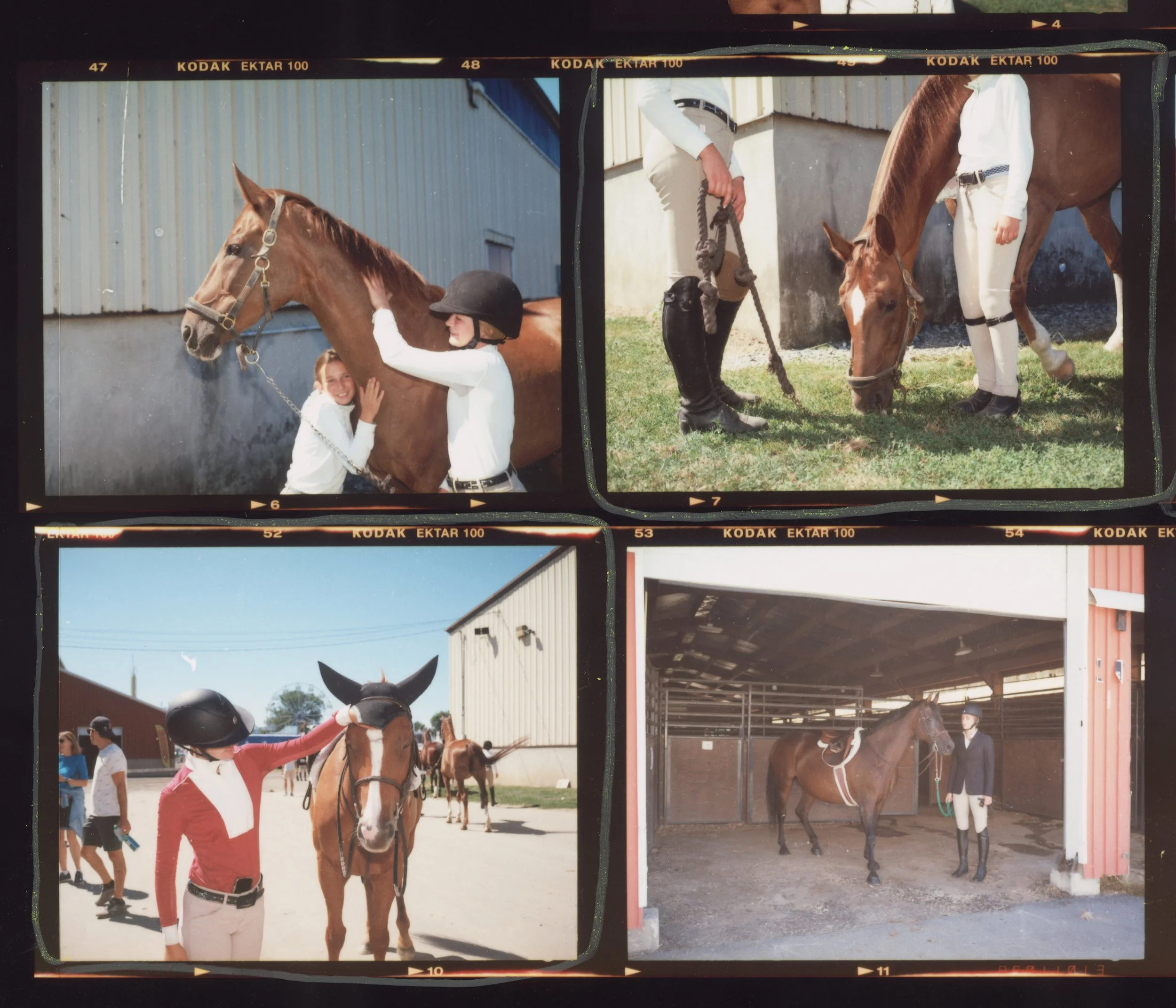 horse snipet 4.jpg