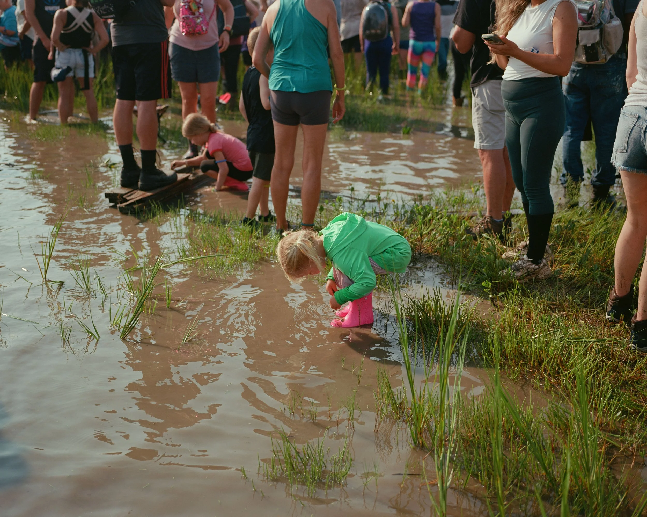 Looking For Crabs