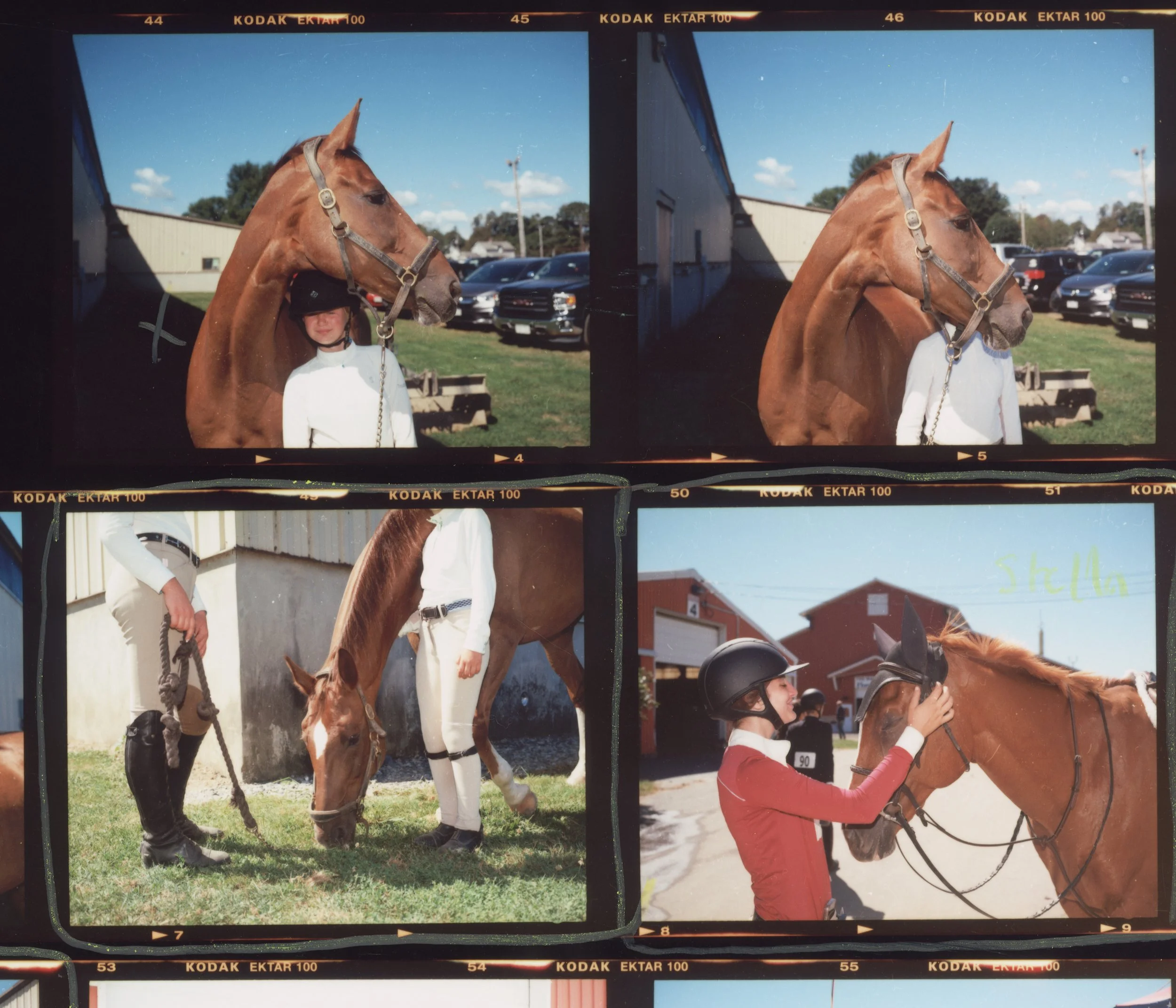 horse snippet 3.jpg