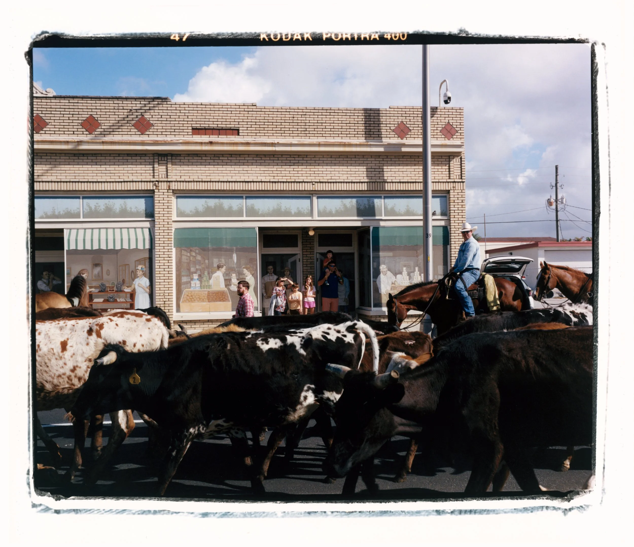 Cattle Drive.jpg