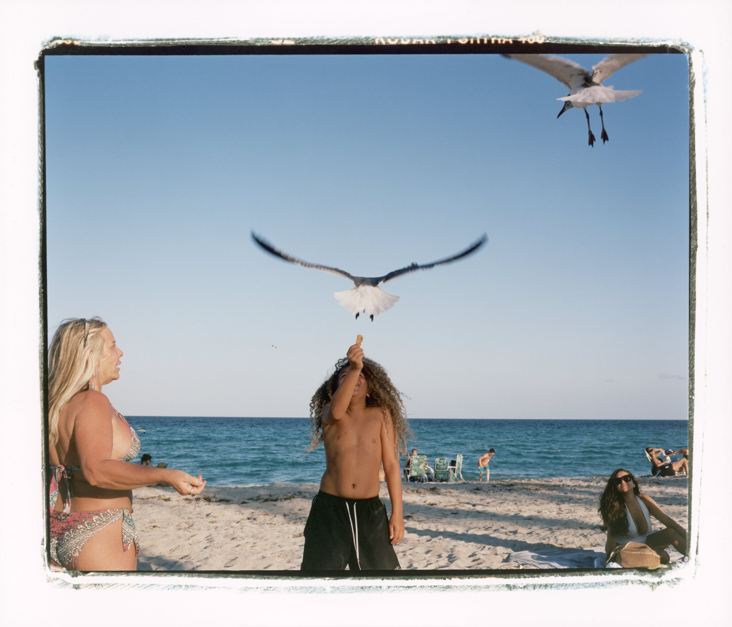 Boy and Seagull 3.jpg