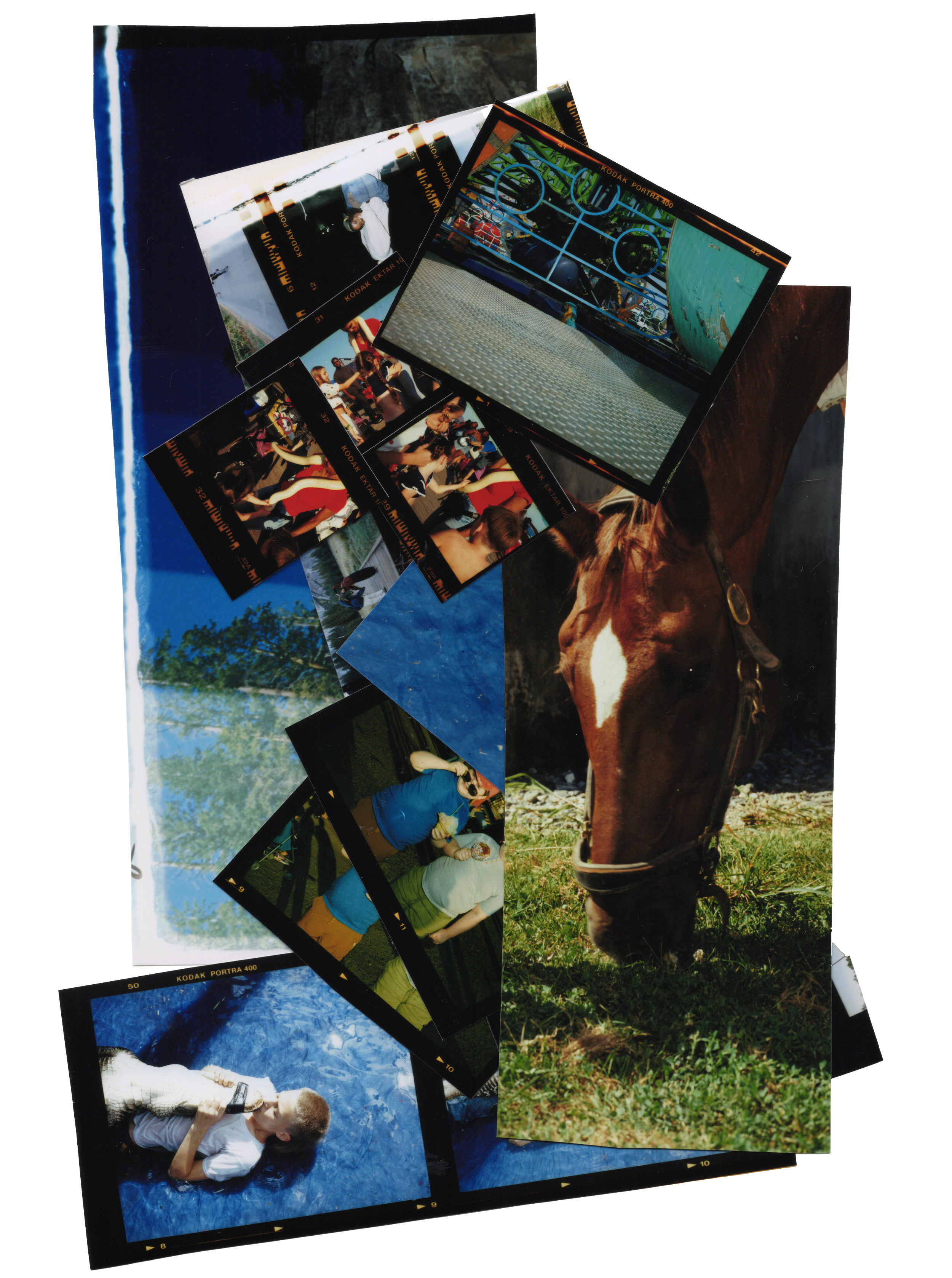 Darkoom strips collage - horse, gator_.png