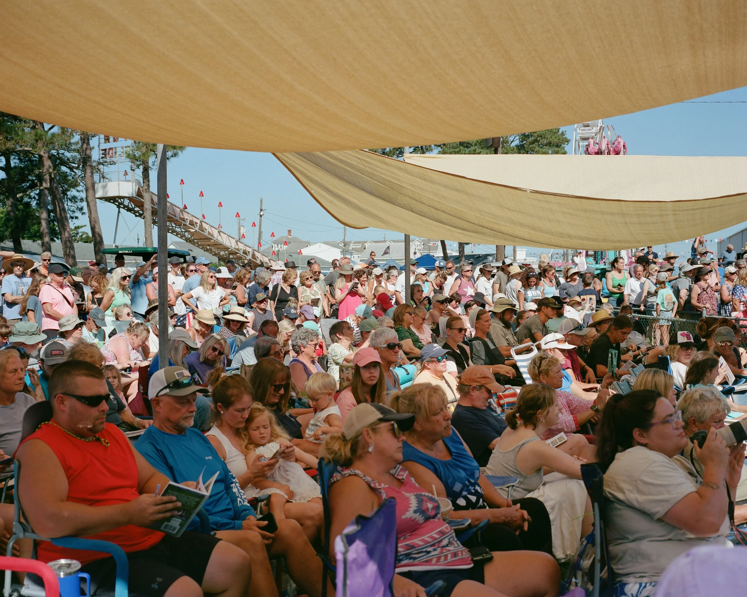 Pony Auction Crowd