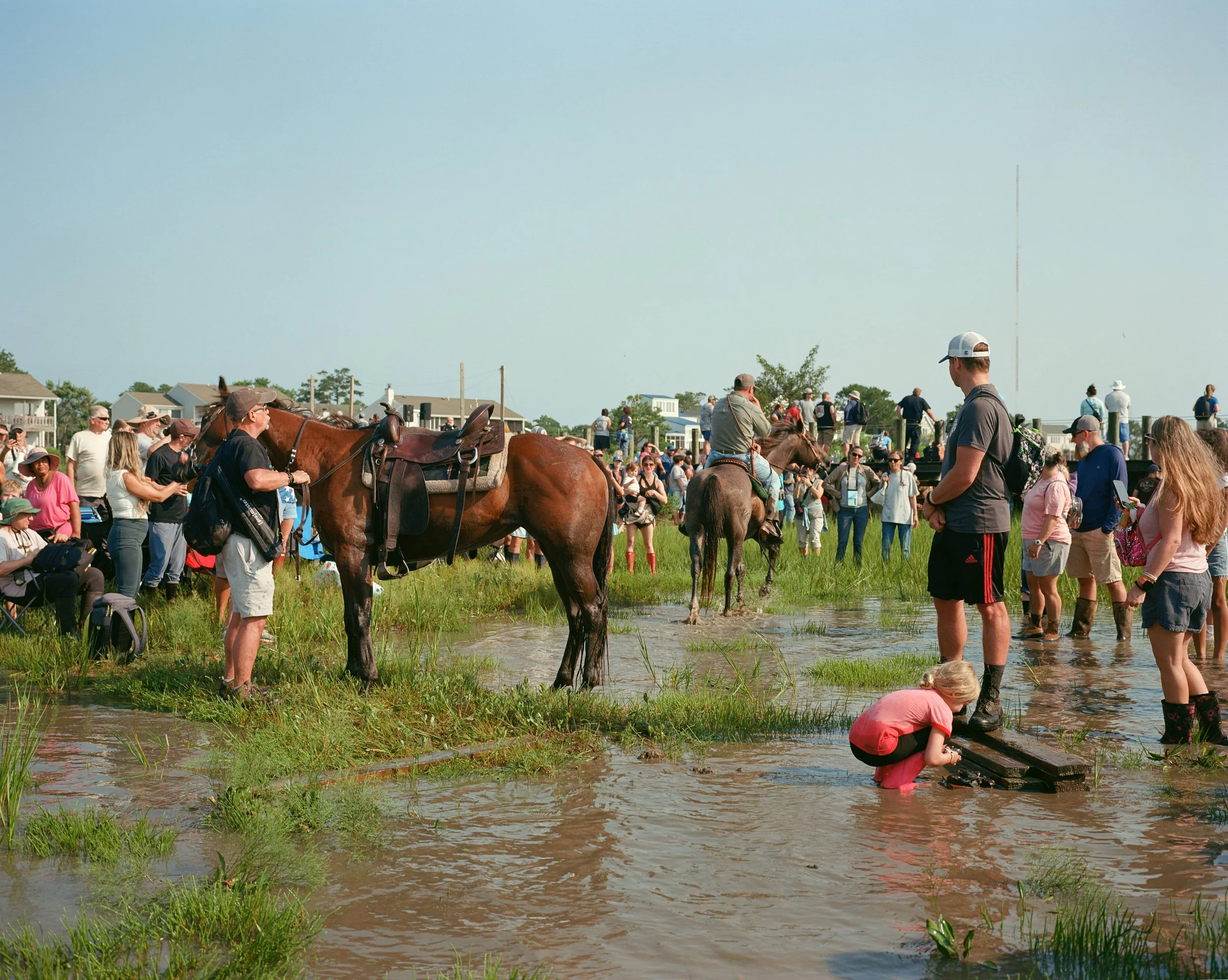 Saltwater Cowboy And Crowd
