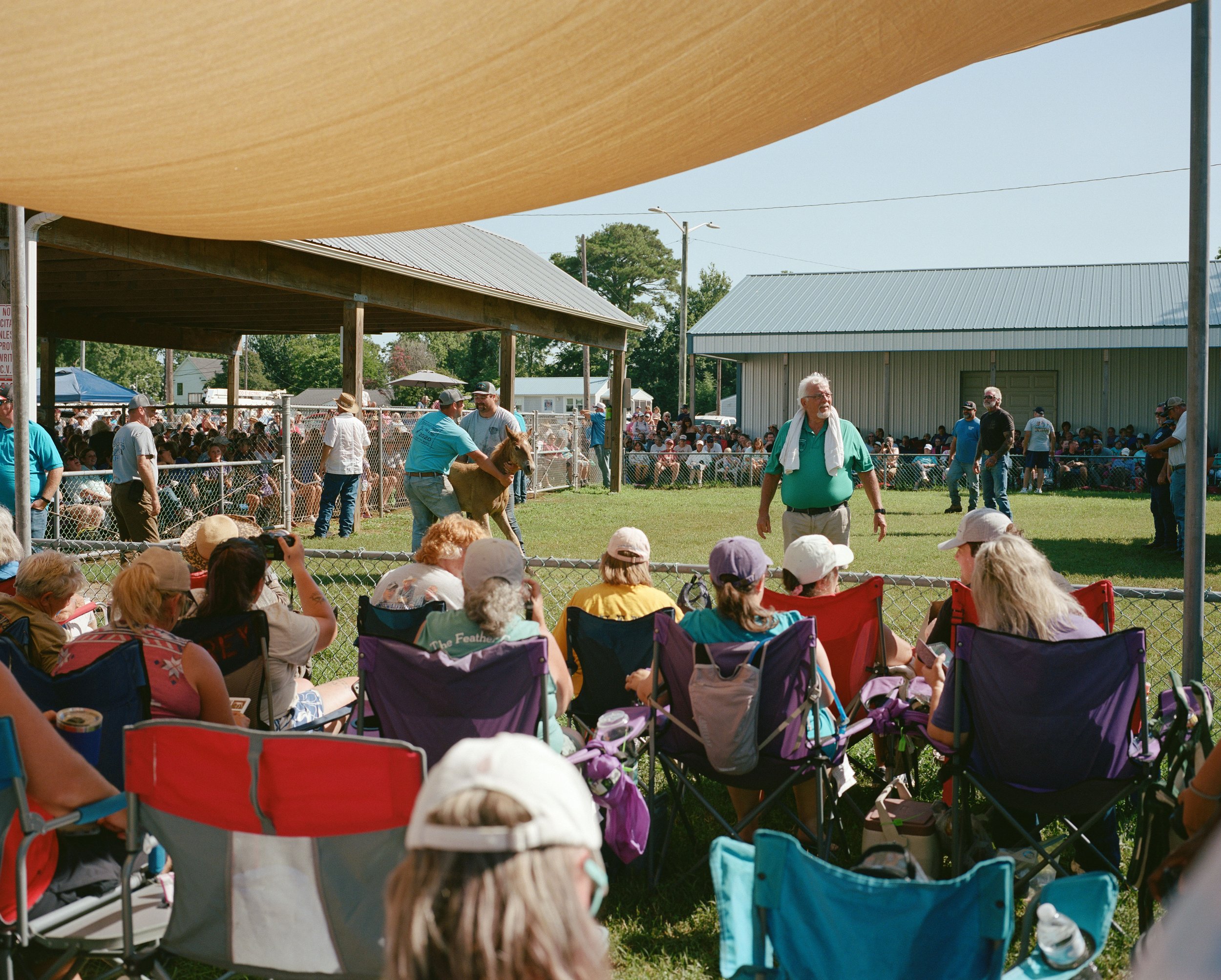 Pony Auction Crowd