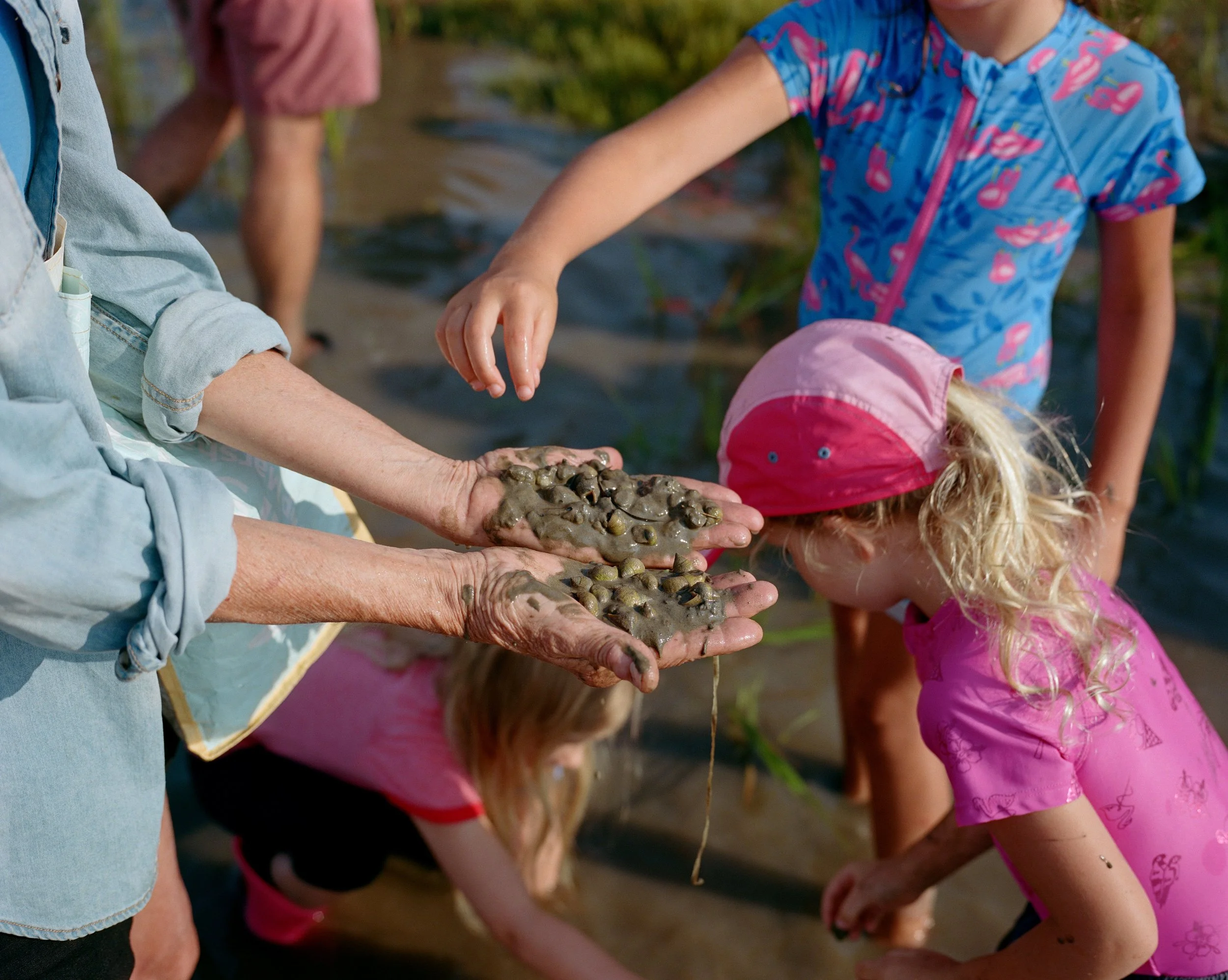 Catching Snails