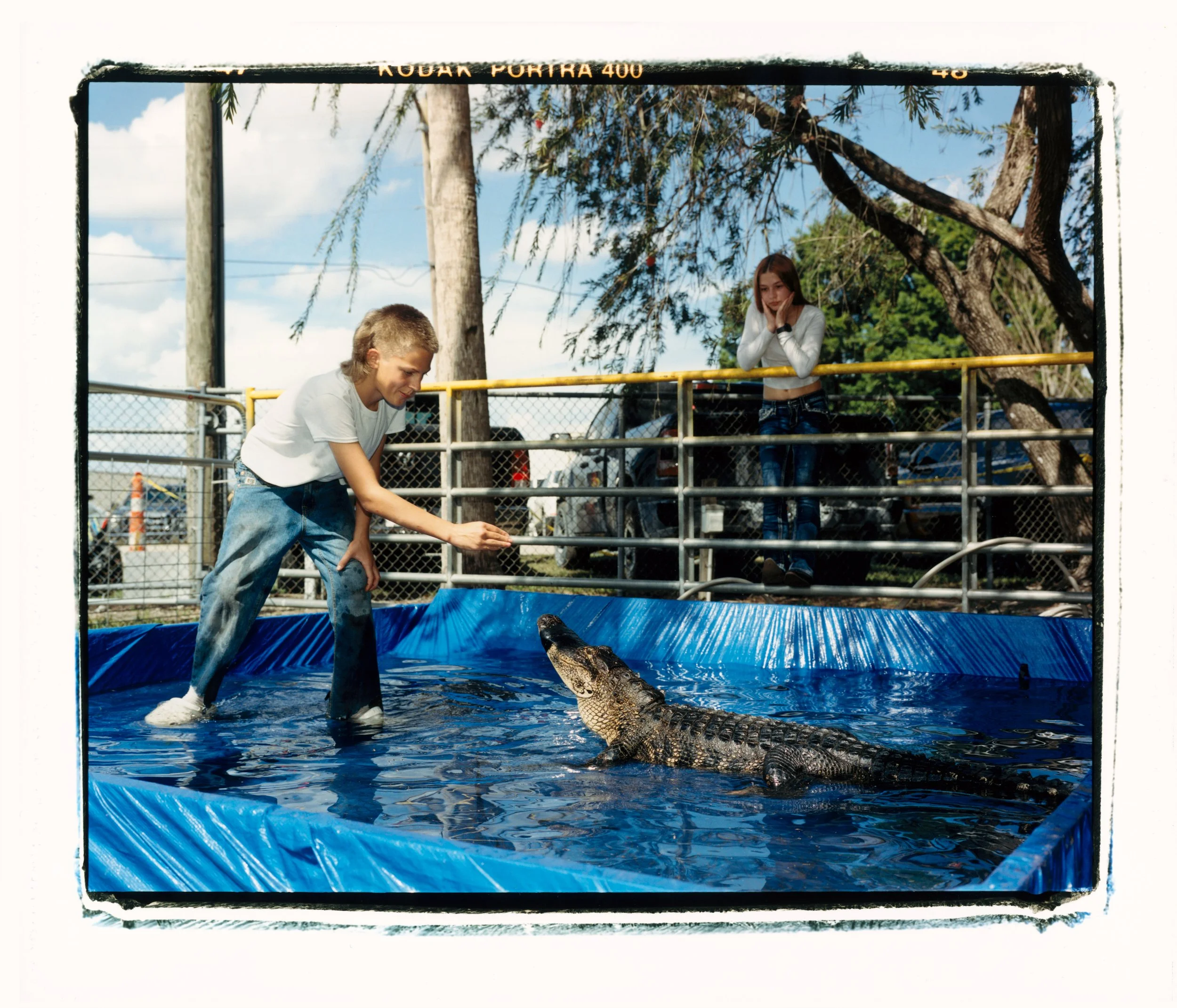 Jonah Challenges The Gator.jpg
