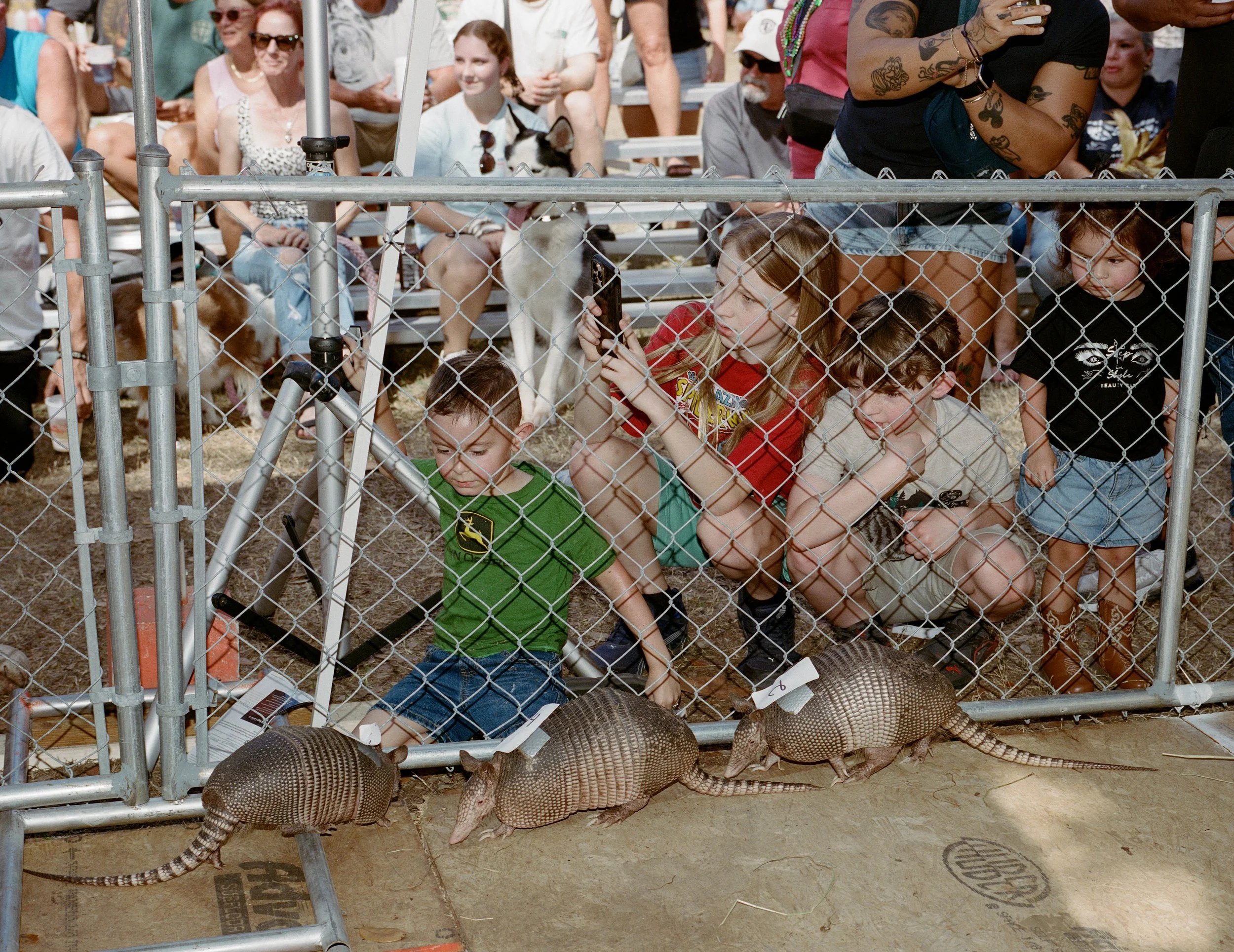 11N-18-5 cropped 2.jpg