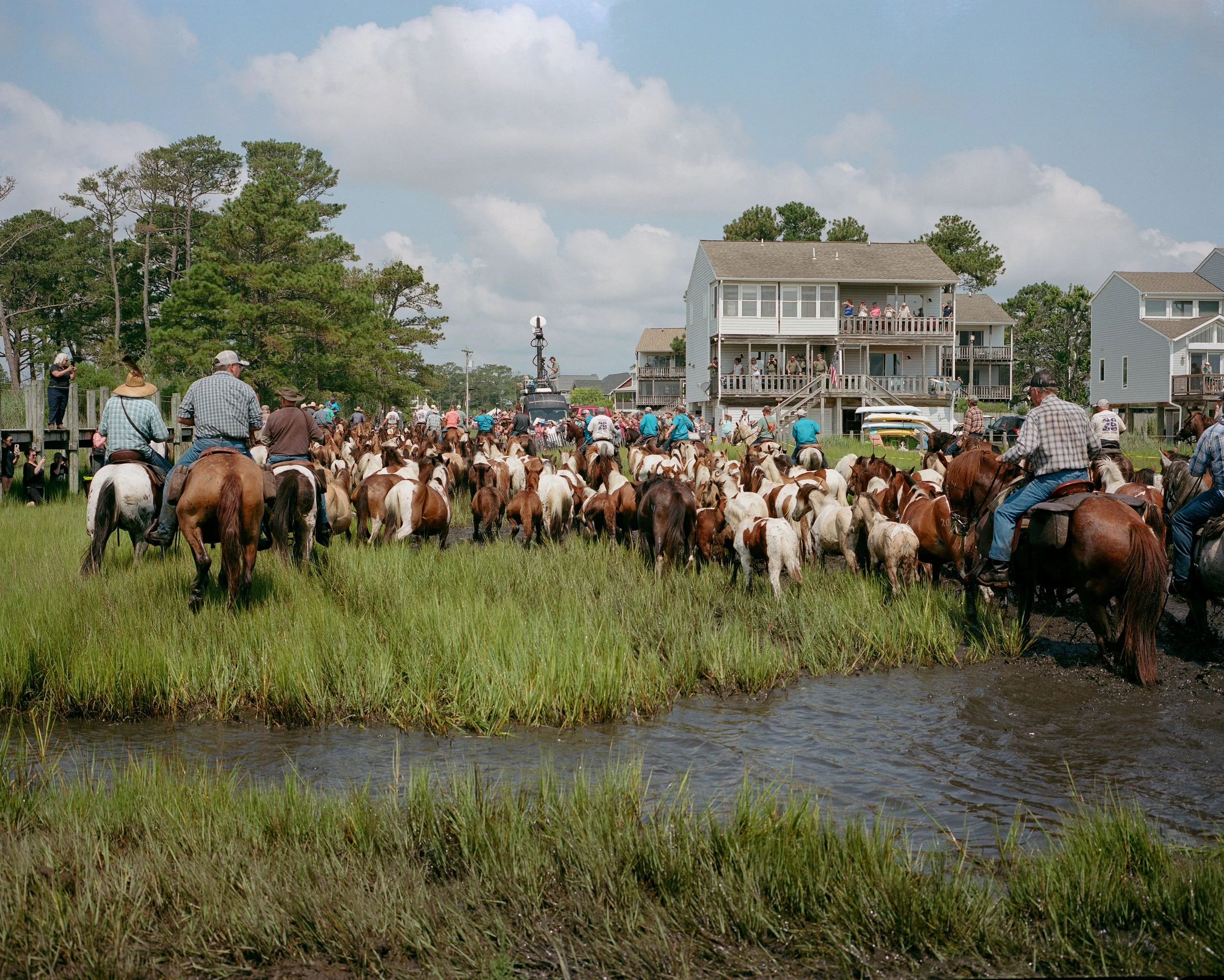 Wild Ponies Going To The Fair