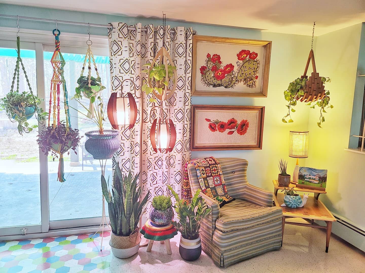 It may have been chilly today, but that extra hour of sunlight was good for my soul....and my house plants!