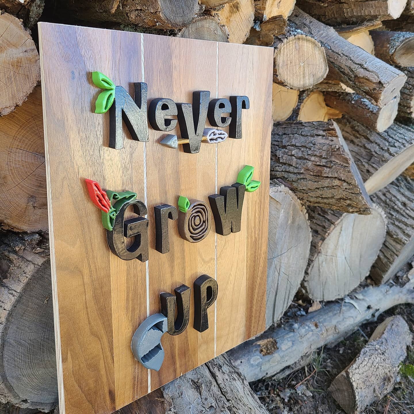 I have 2 of these adorable Peter Pan signs available on my website jparisdesigns.com!
.
.
Design by @jennylynnwestdesign  on Etsy.
.
.
.
.
#peterpan #nevergrowup #disney #disneysign #disneydesign #lostboys #neverland #neverneverland #peterandwendy #n
