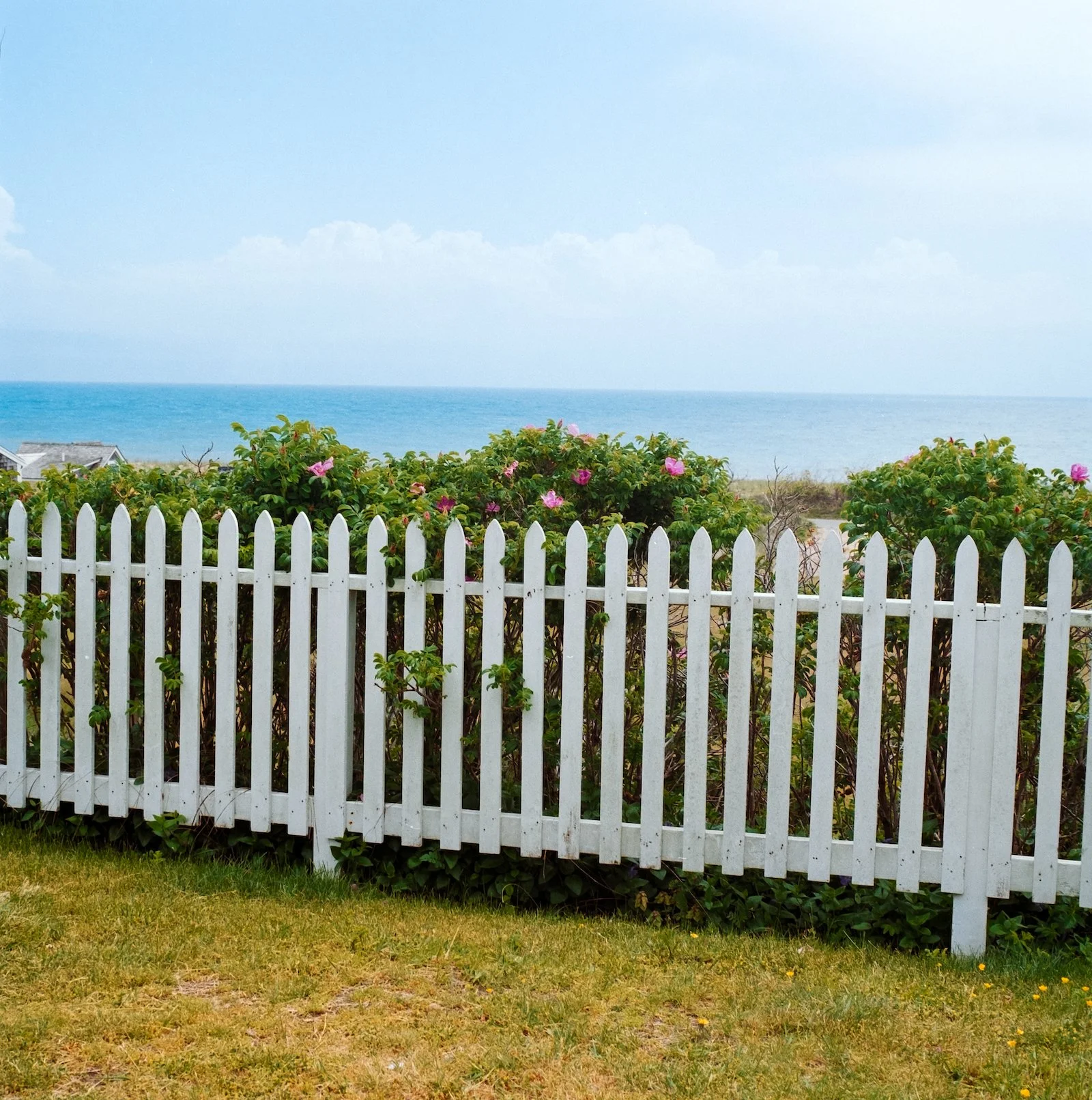 White Picket Fence - Nantucket - May 2026