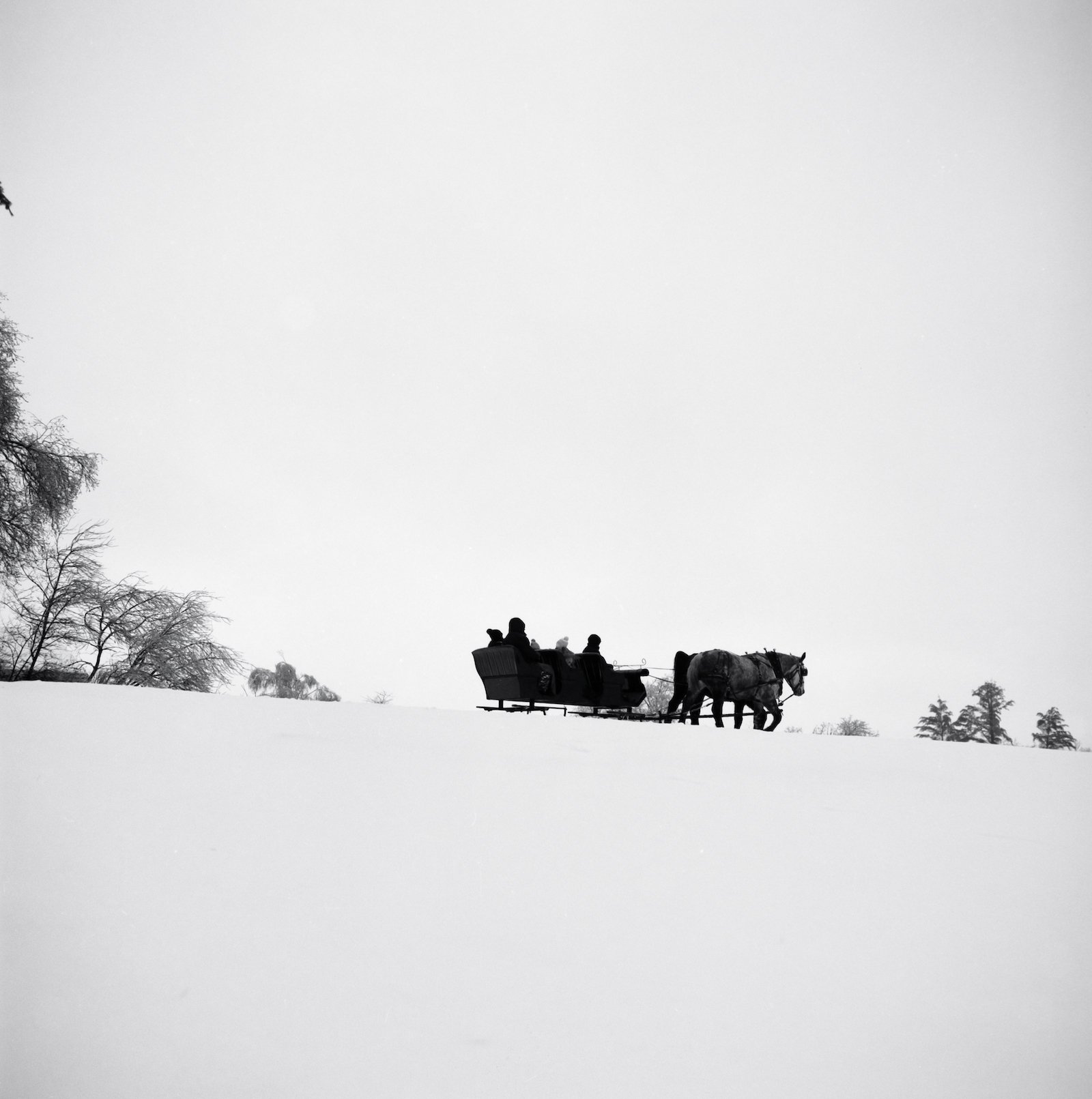 Sleigh Ride - Vermont - December 2025